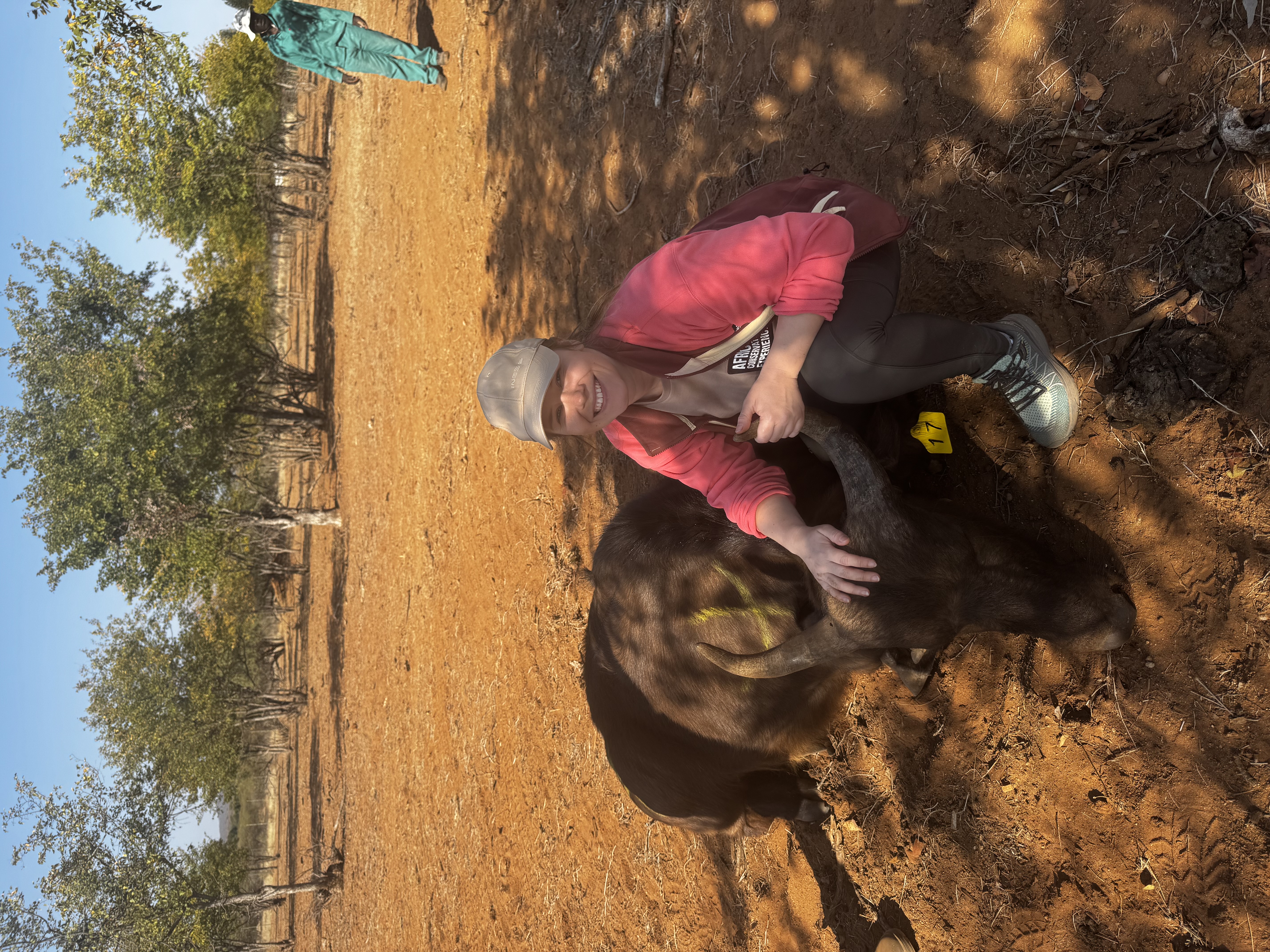 Tereza Pacíková - Vet student posing with a buffalo