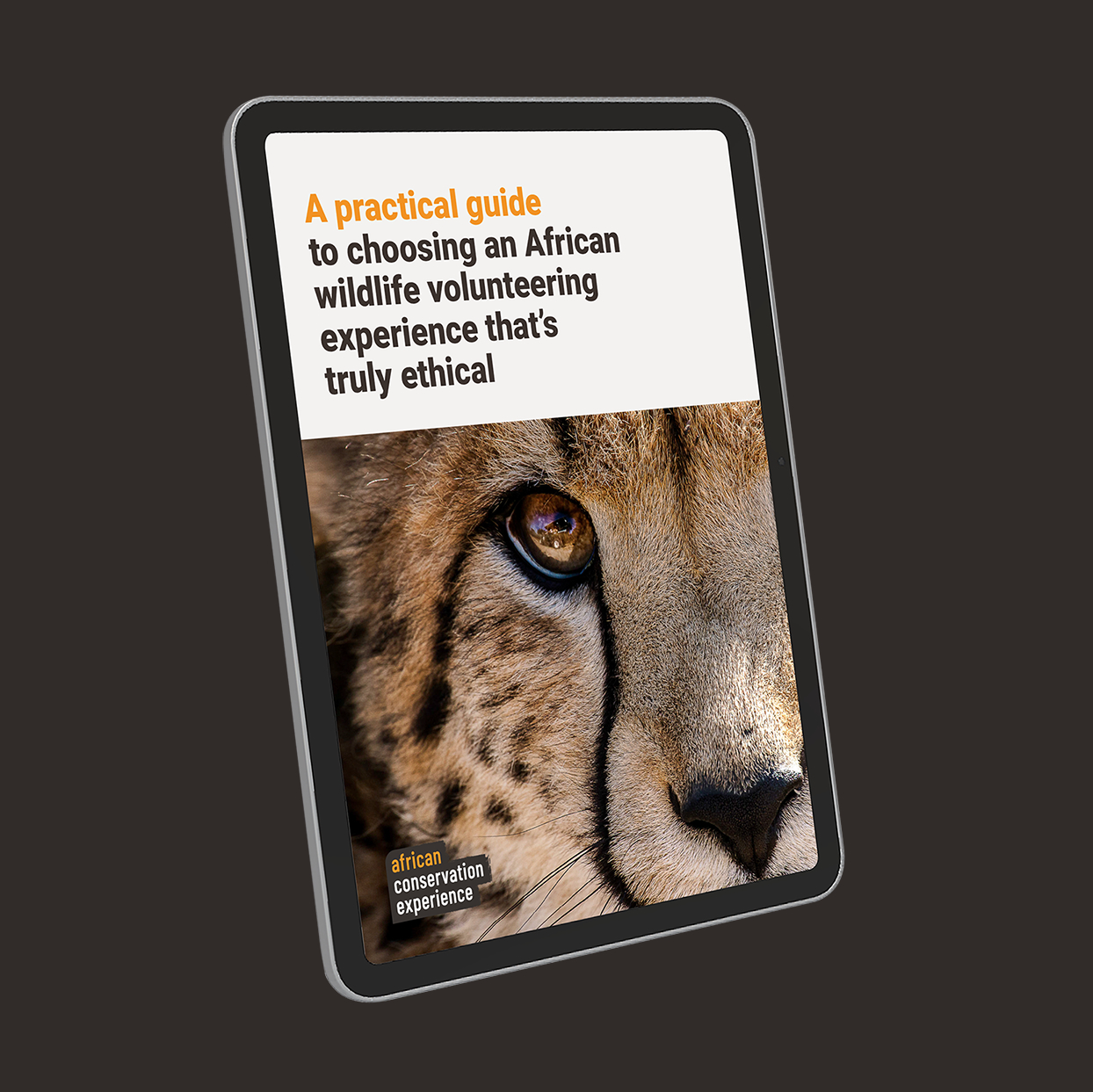 Mock up of the ACE Practical Guide on a hand-held device