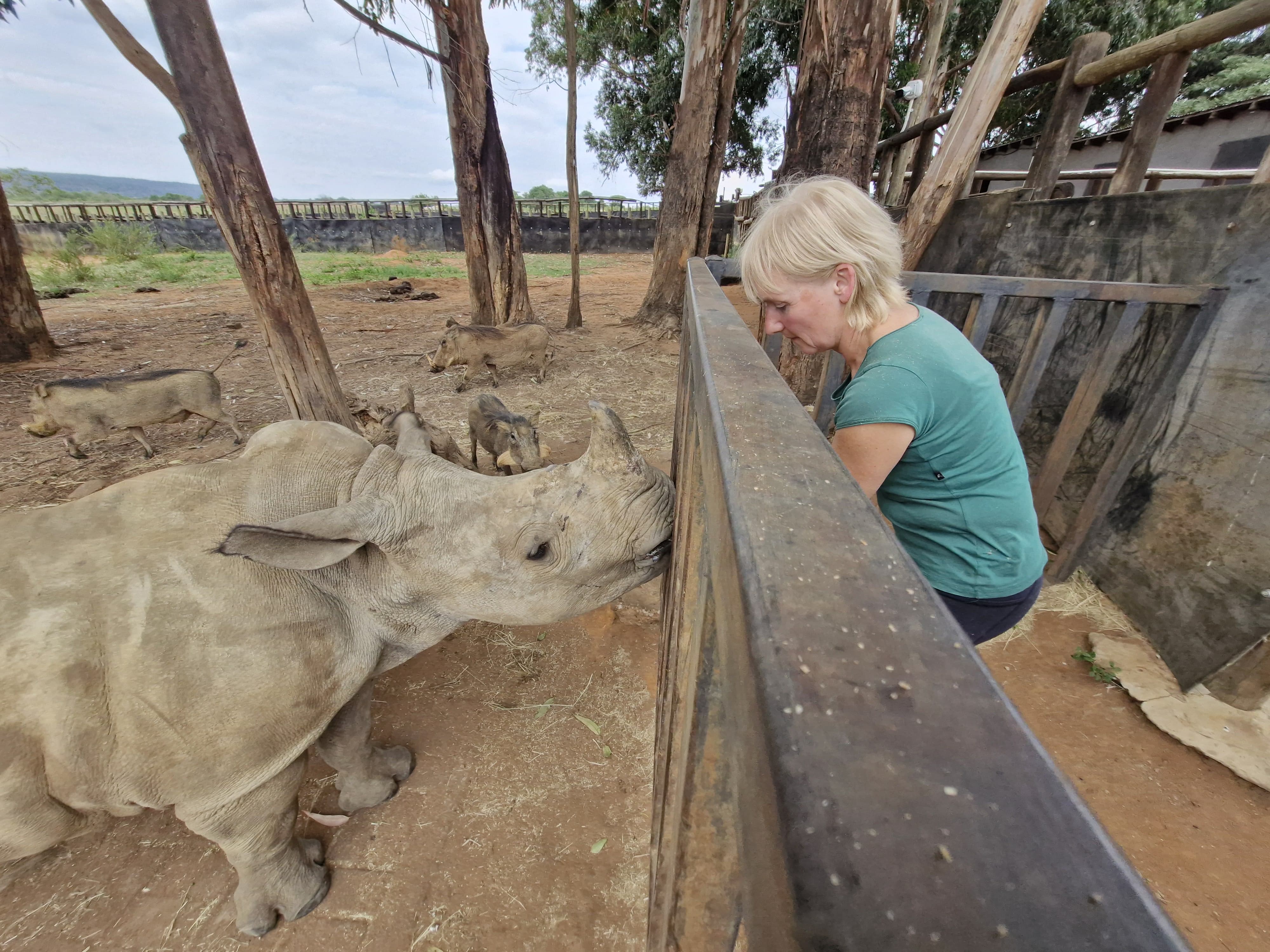 Louise Jane Waugh - Volunteer bottle feeding a rhino
