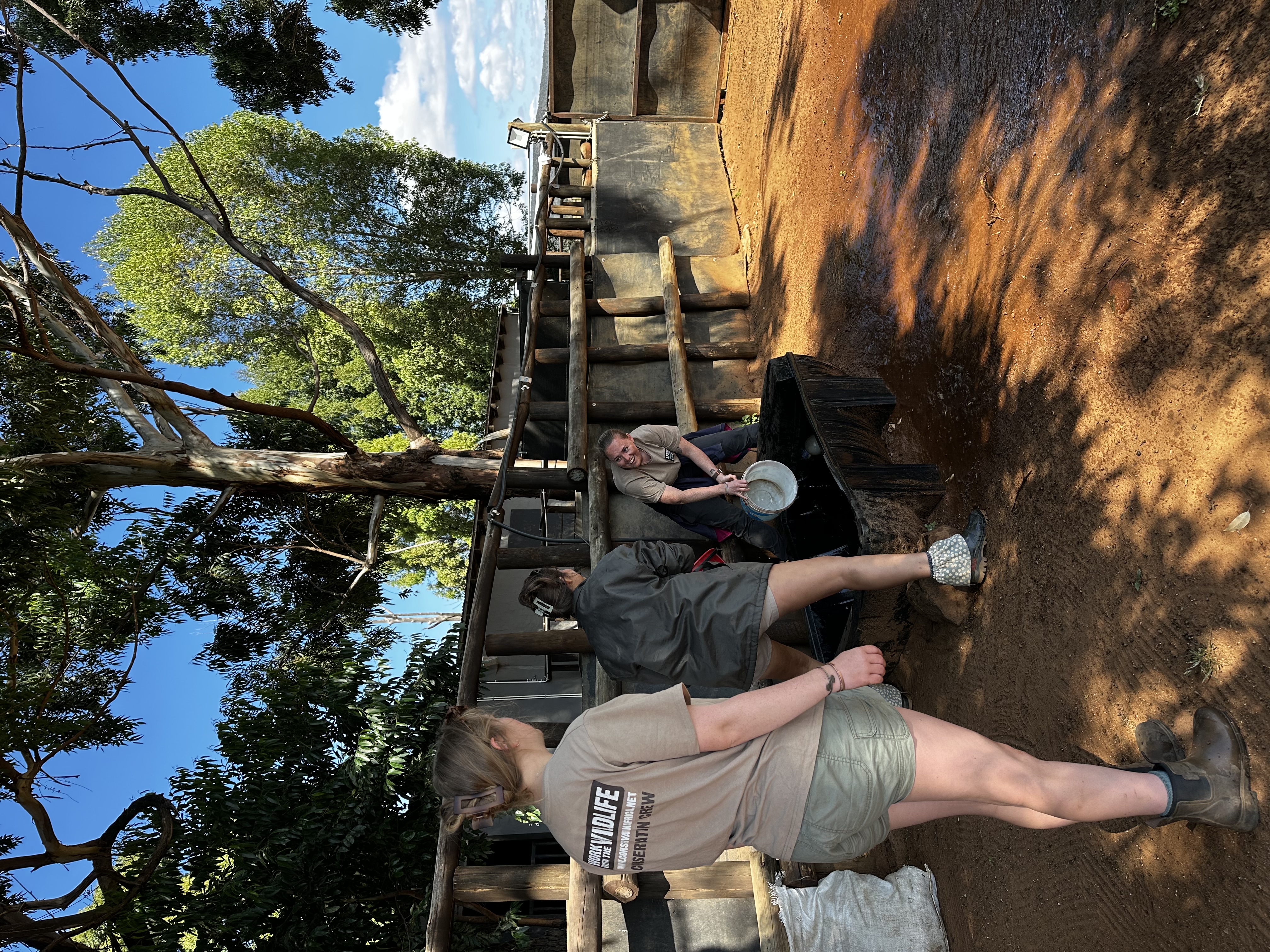 Claire Cameron - Volunteers working at Rhino orphanage