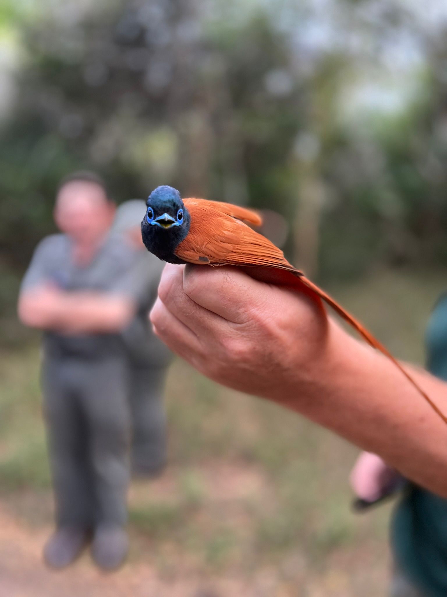 Di Roderick and Sam Hemmingway - Holding bird in hand