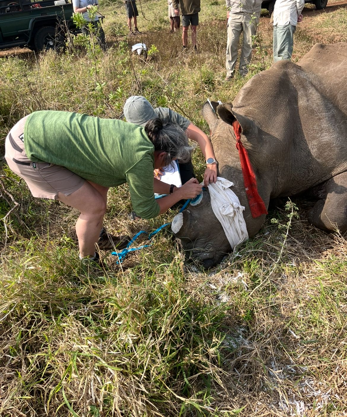 Di Roderick and Sam Hemmingway - Rhino horn trim in action
