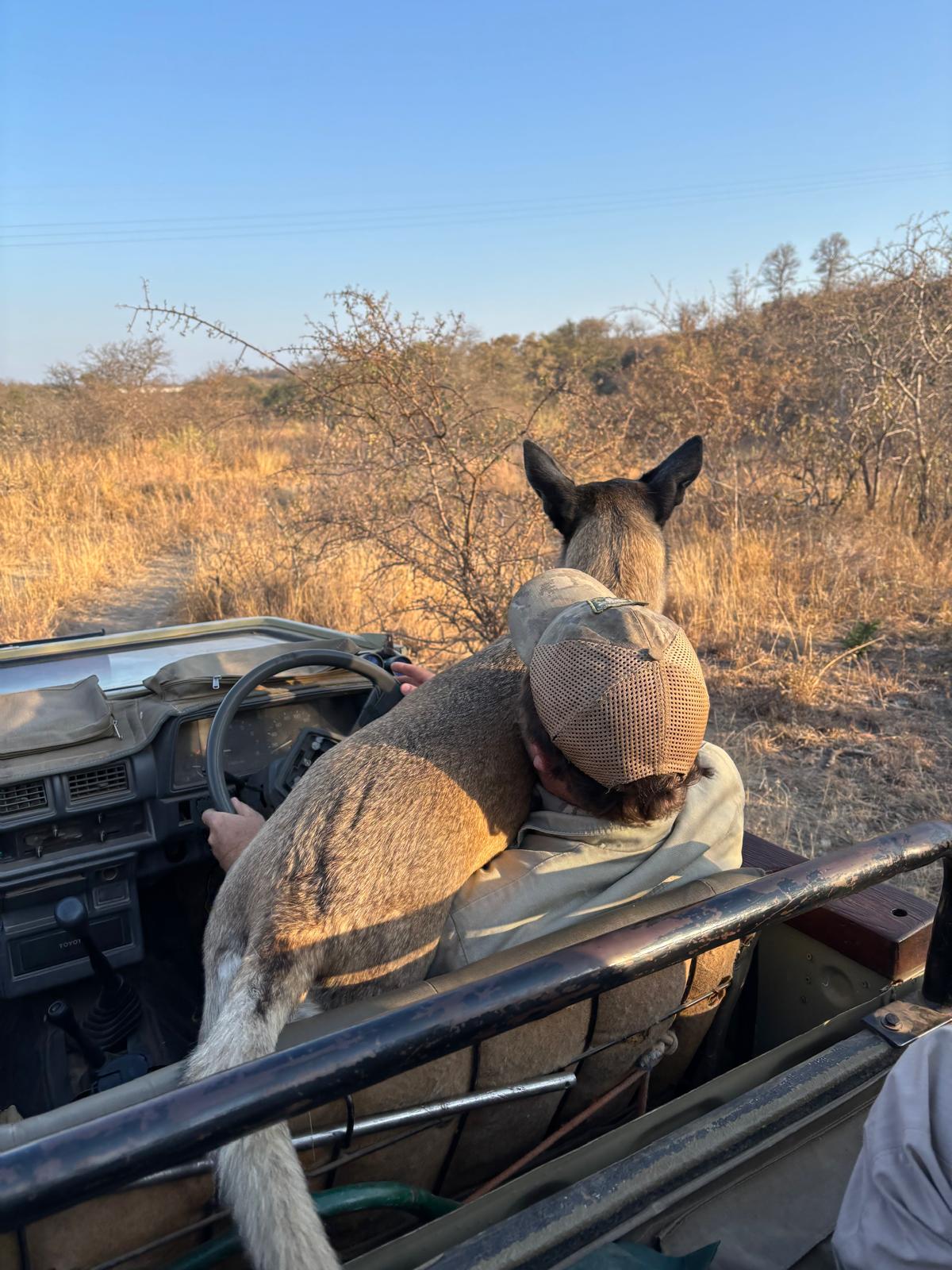 Di Roderick and Sam Hemmingway - Guide driving with dog in his lap