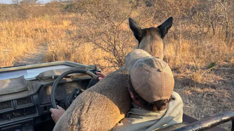 Roderick Rhinoceros Traveller Stories: Di Roderick and Sam Hemmingway