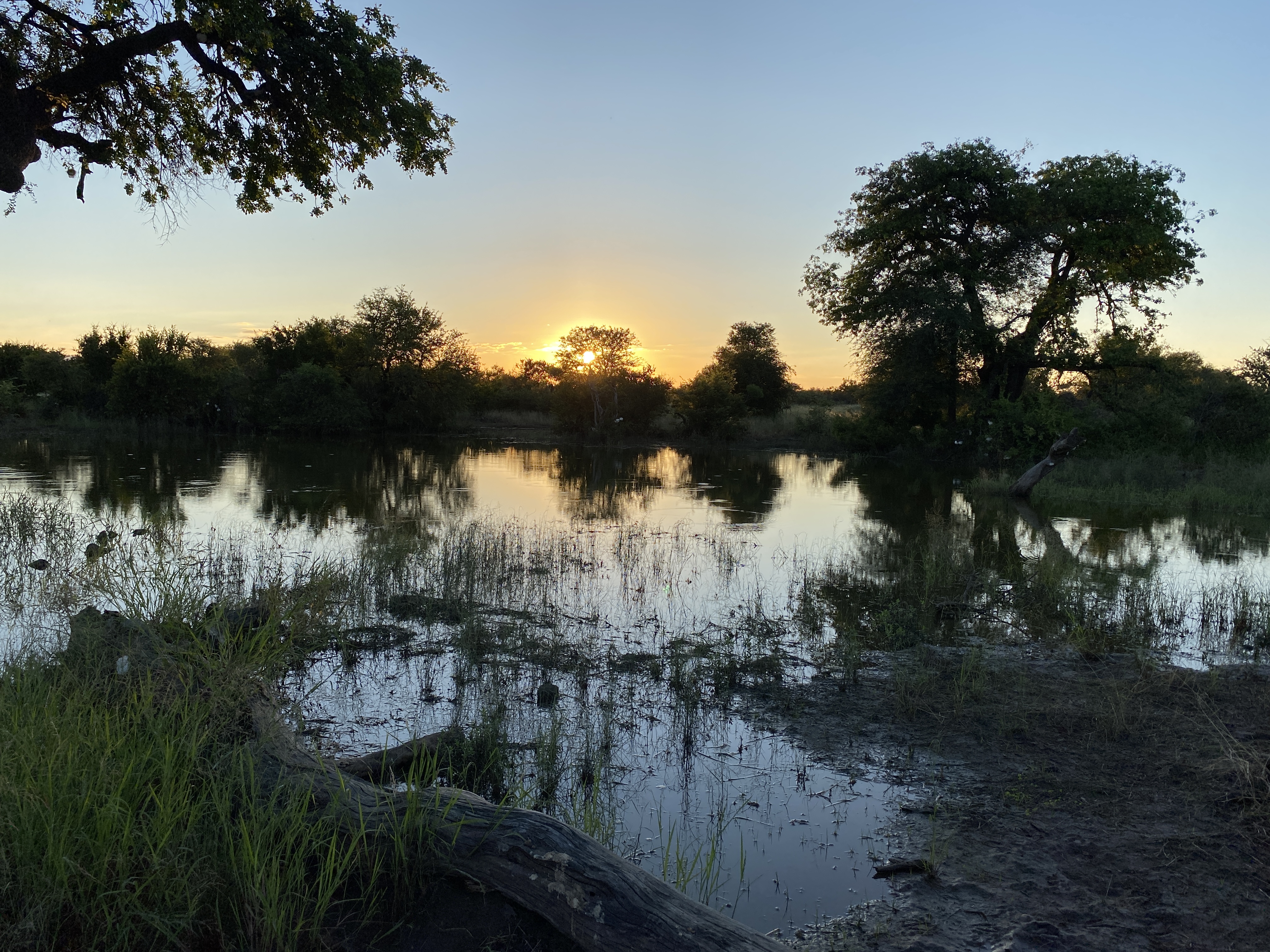 Okavango sunset