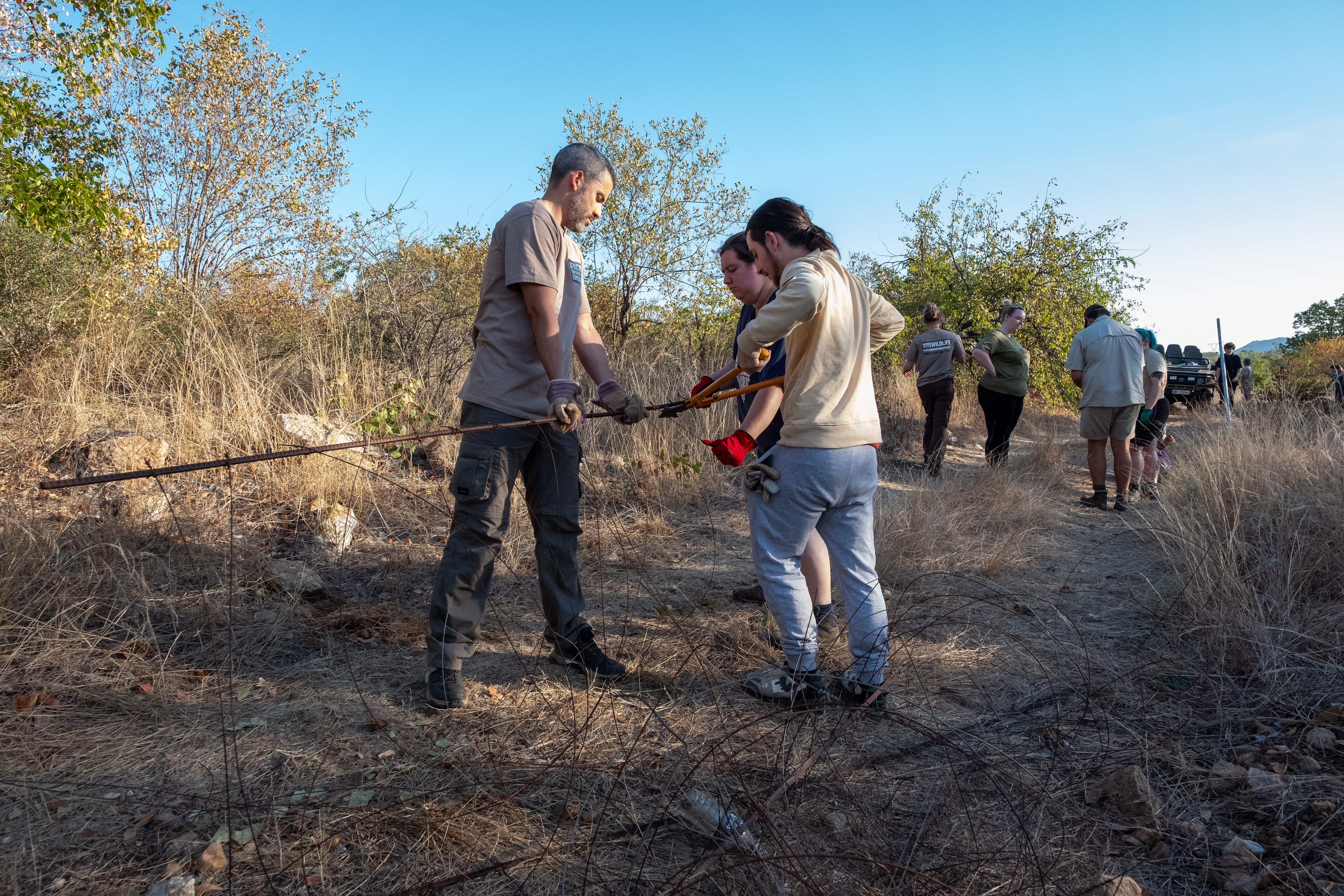 Sergio Garcia: Group of staff and students doing fence work in the bush 