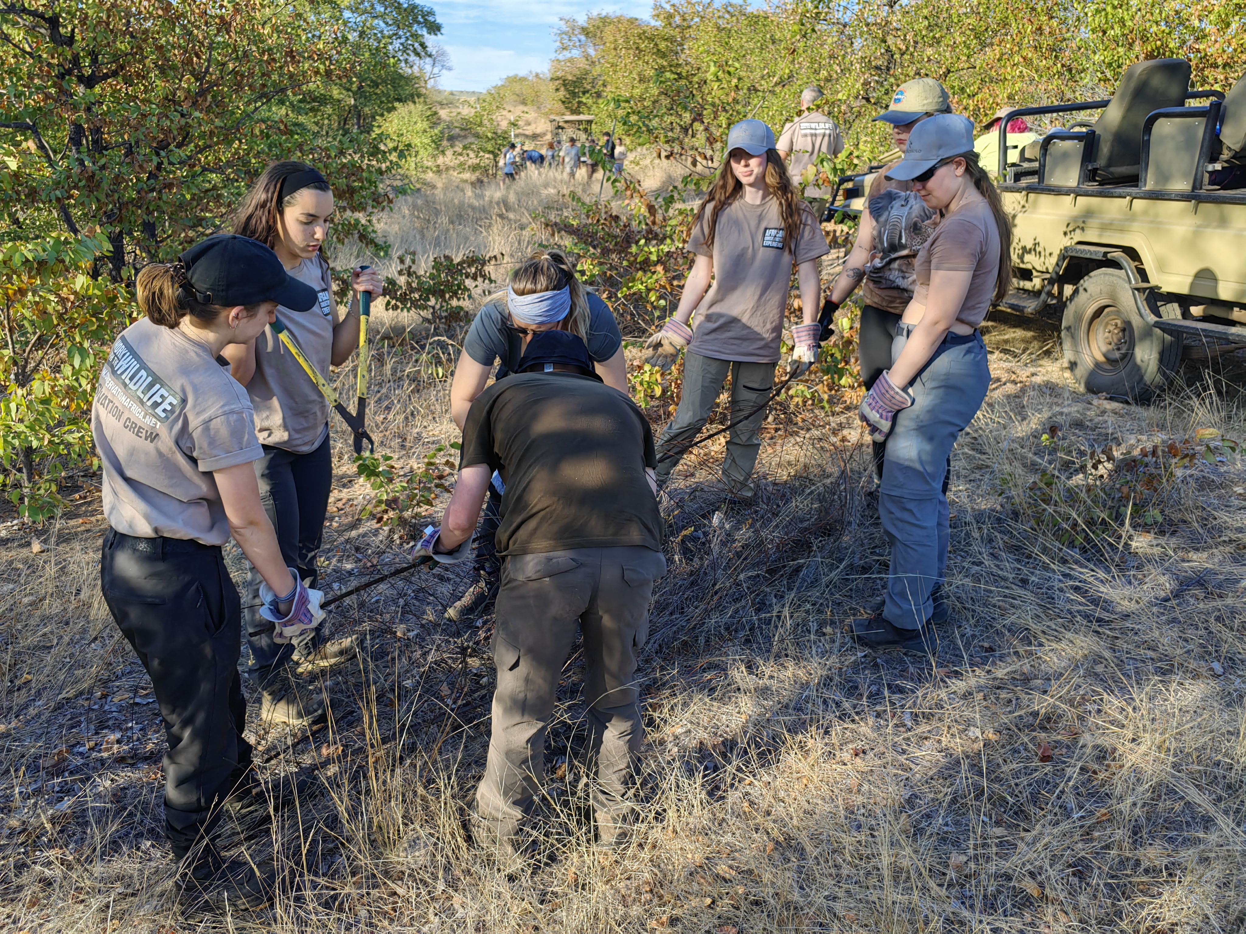 Sharon Alkalay: group of students working in the bush