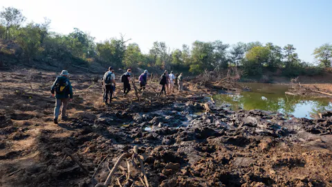 Albane Bossuyt: group of studnets on a bush walk