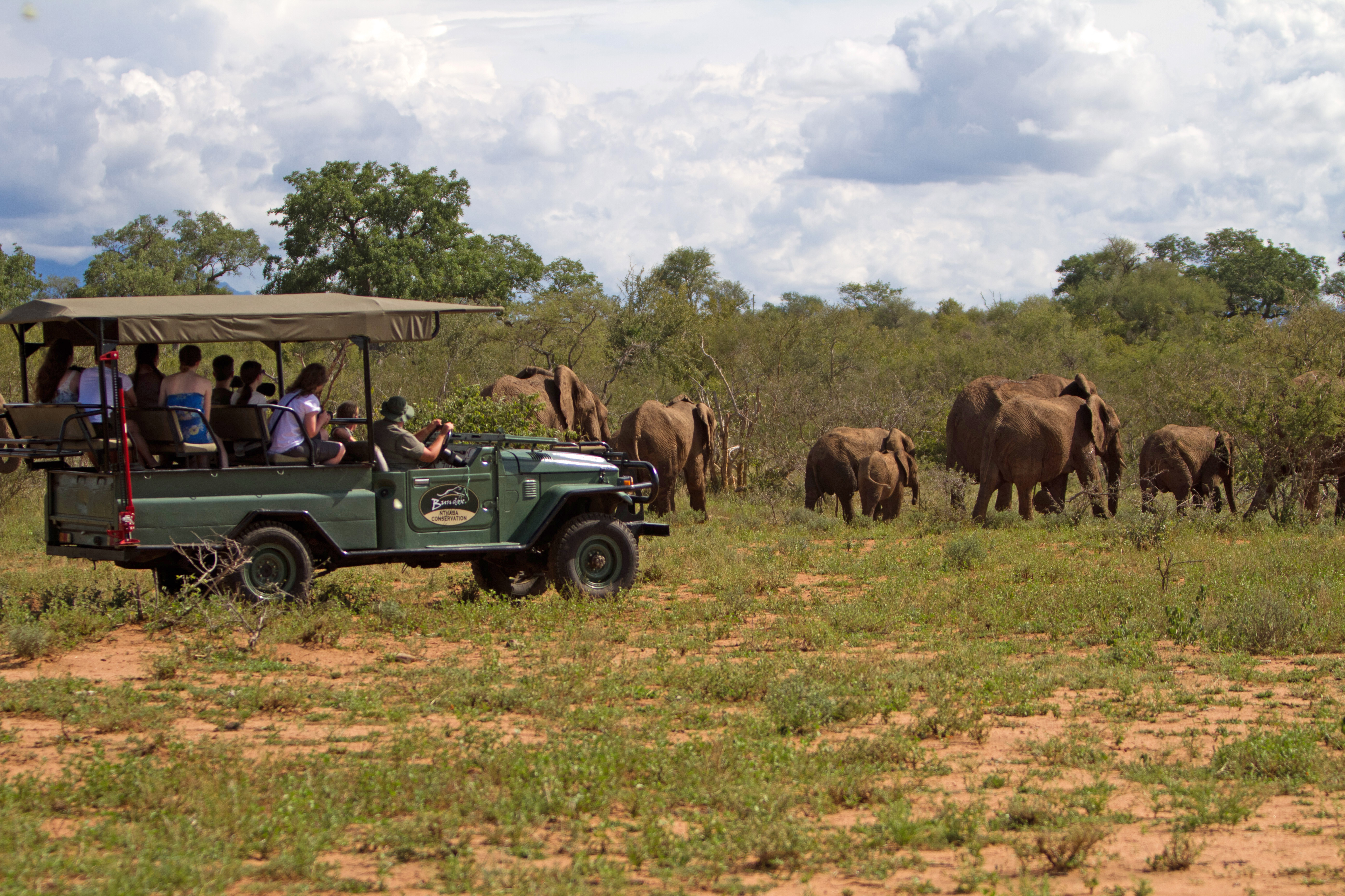 Reaseheath Group on game drive