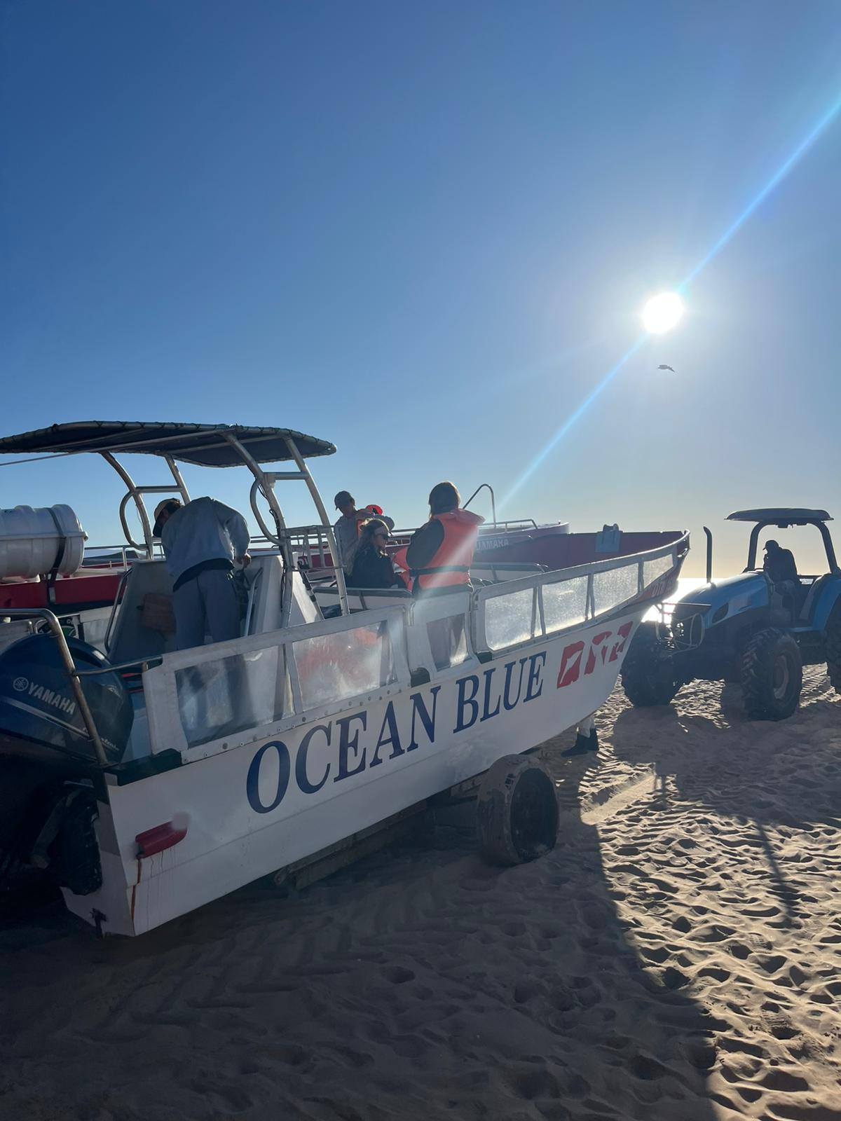 Timothy Donaldson - Coastal Boat on shore