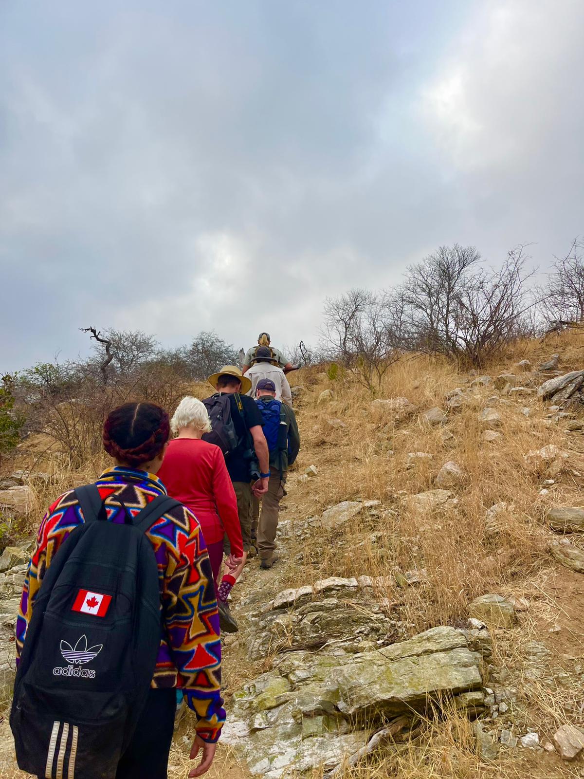 Timothy Donaldson - Group Walking