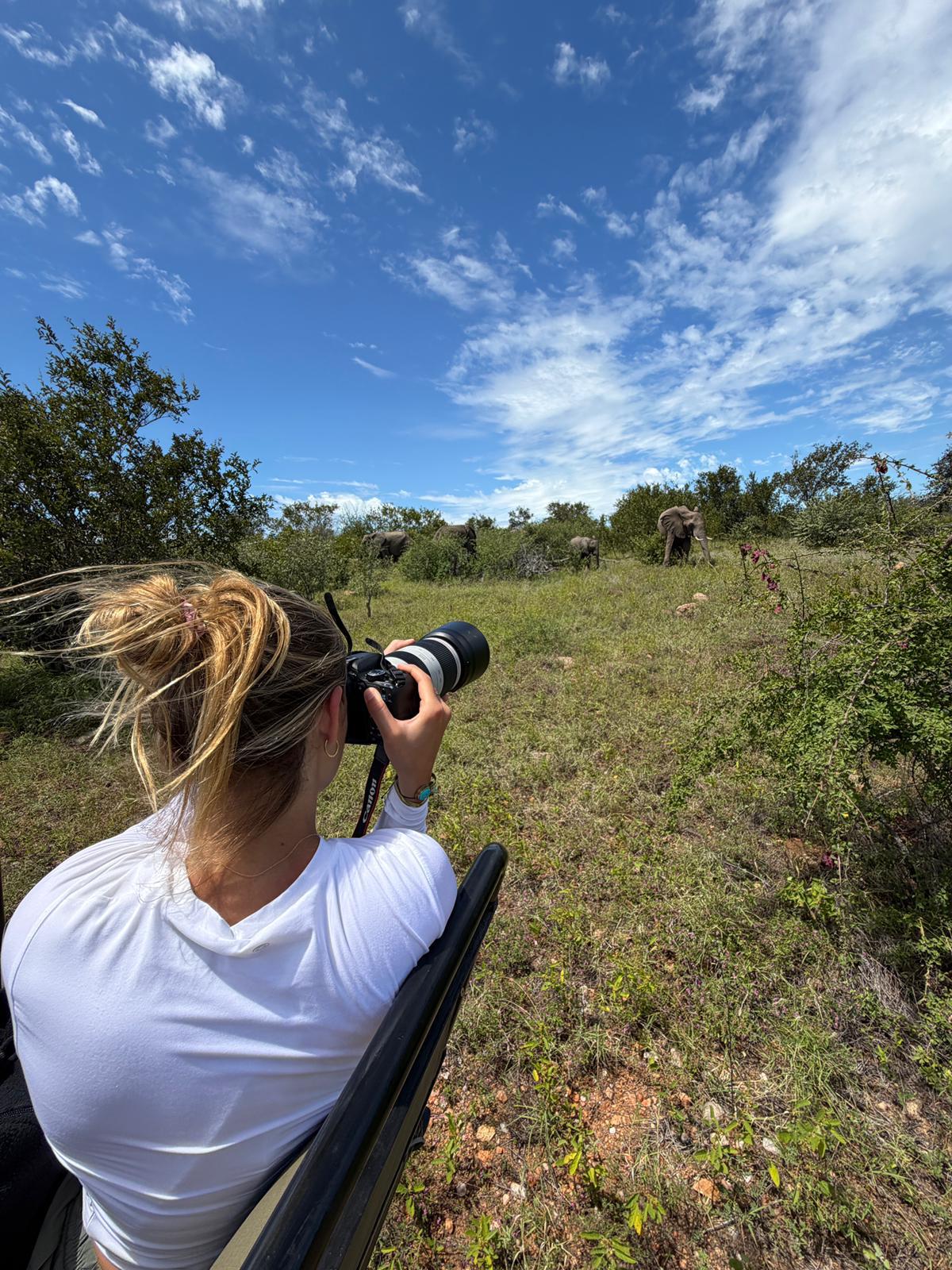 Olivia Ralton - Viewing Elephants