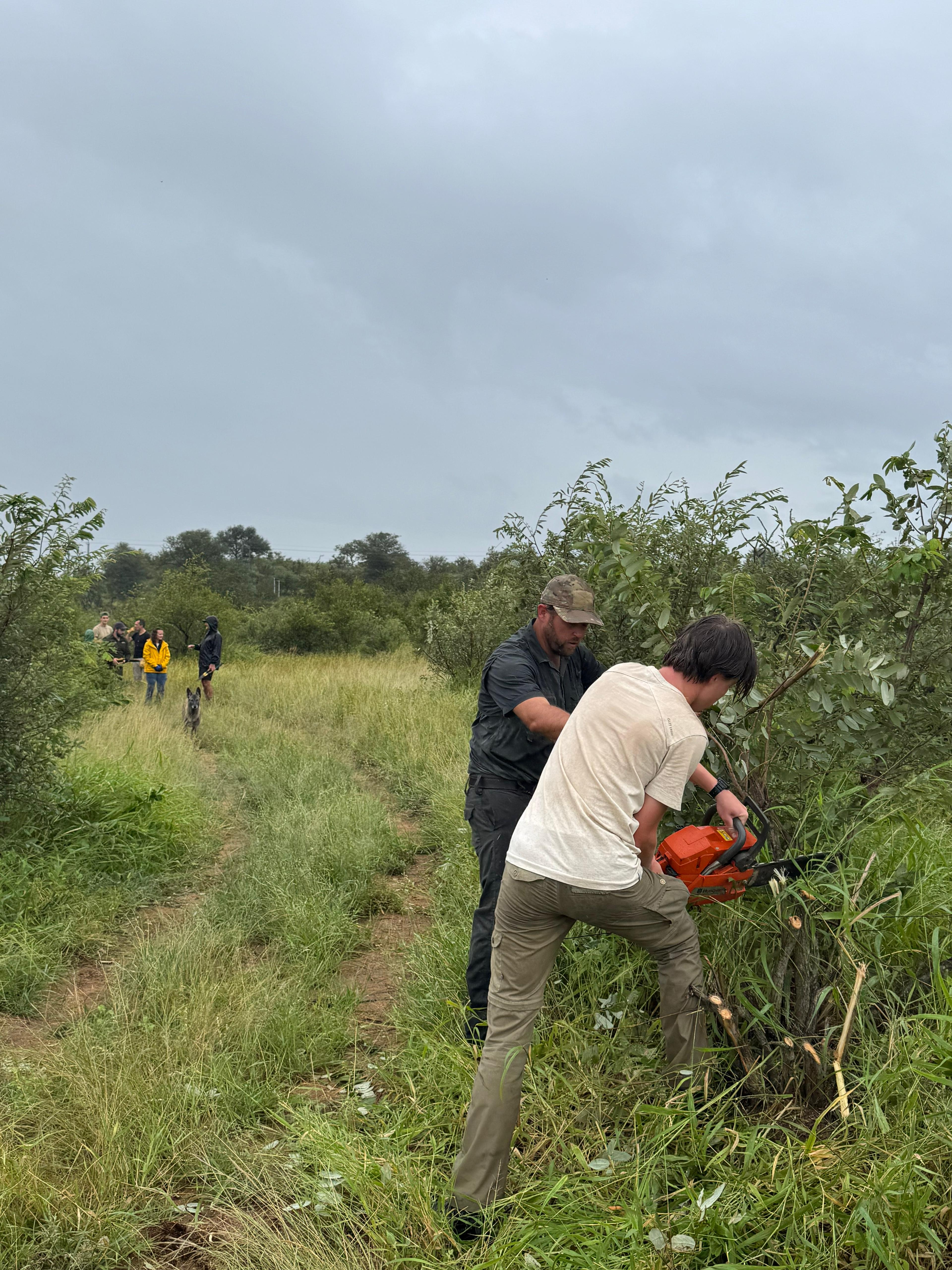 Olivia Ralton - Bush Maintenance