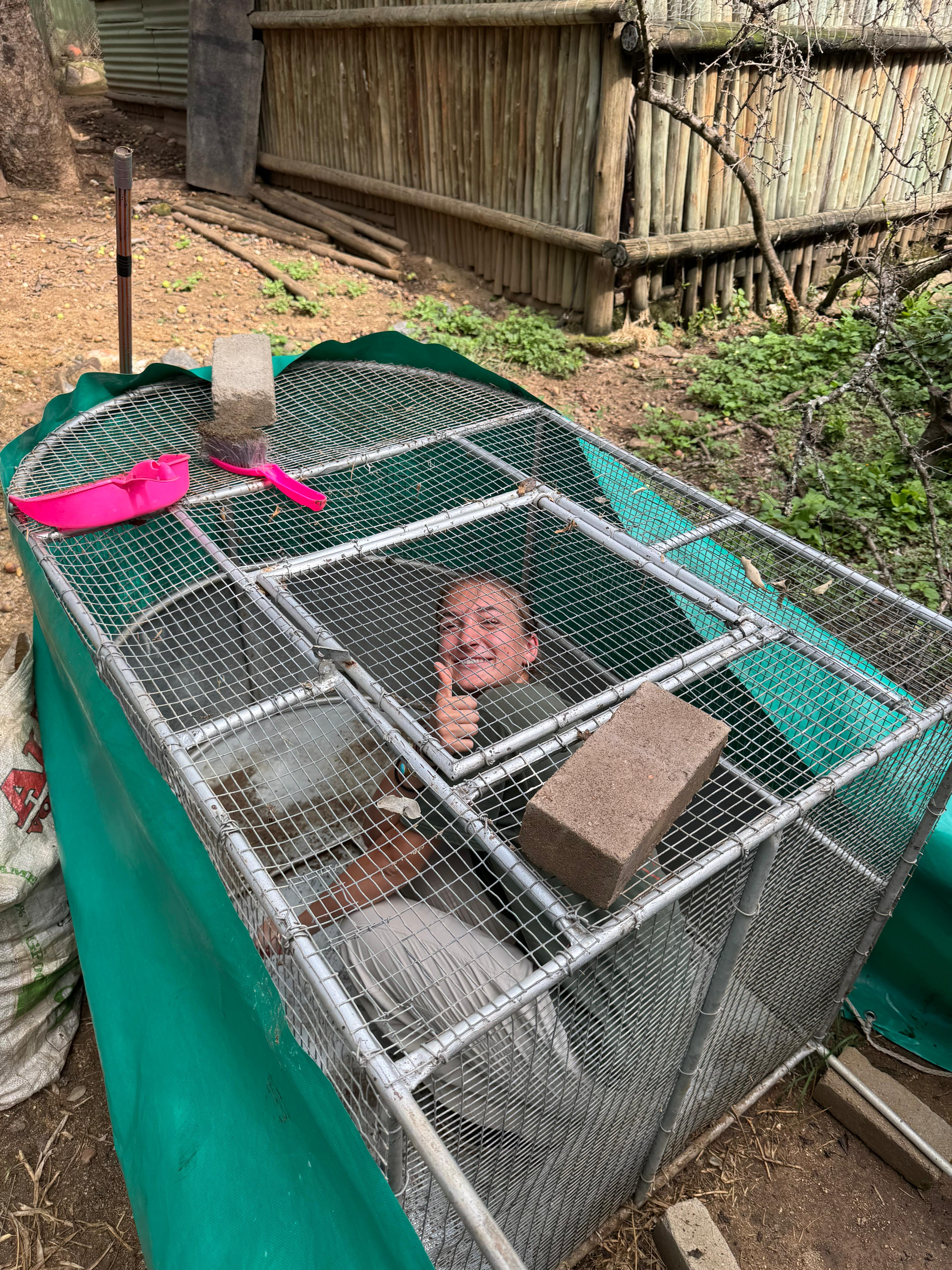 Olivia Ralton - Volunteer Smiling in a cage