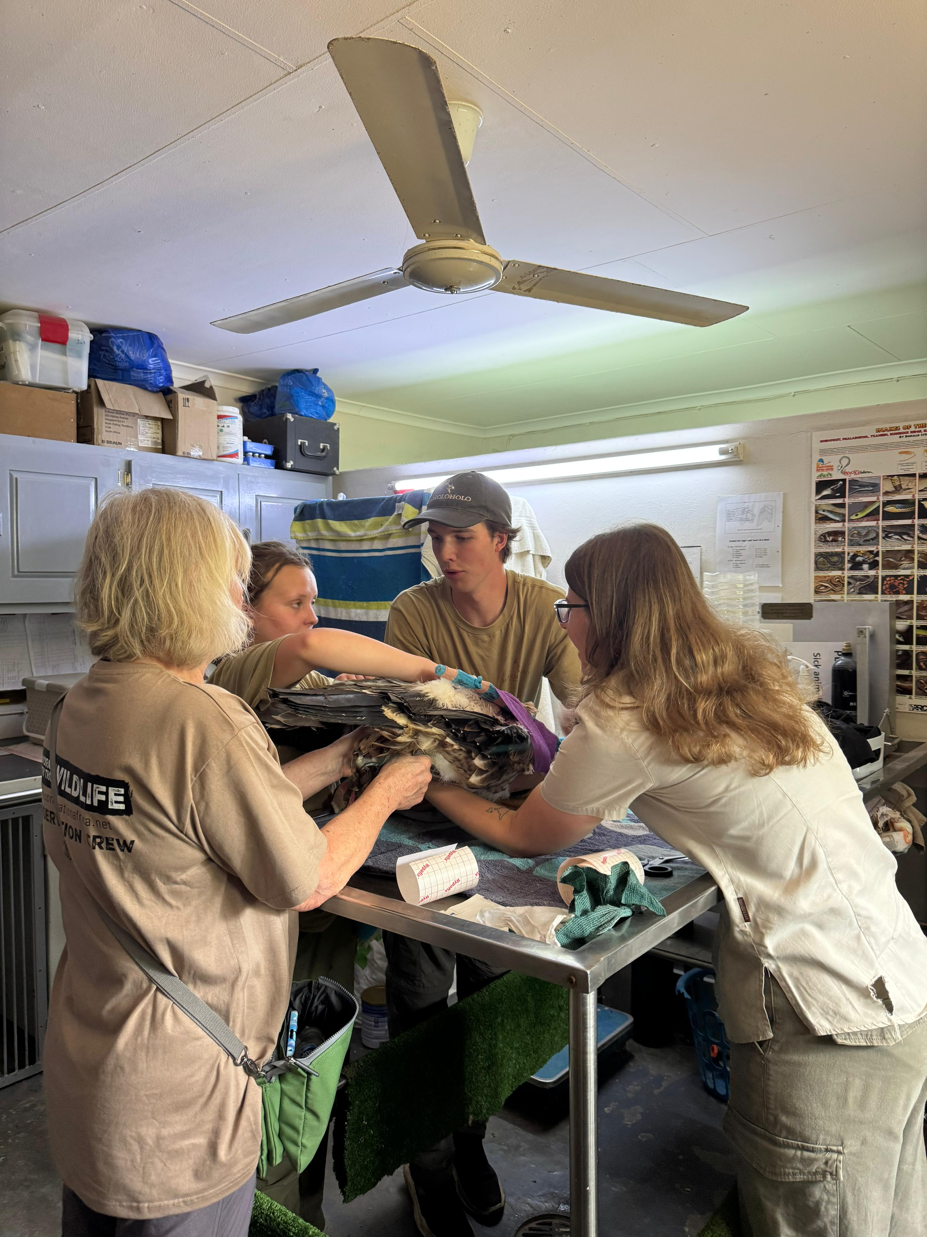 Olivia Ralton - Vets working in the clinic