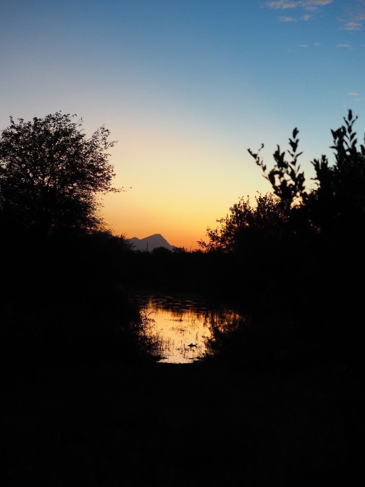 Luis Patel - Sunset at Vikela