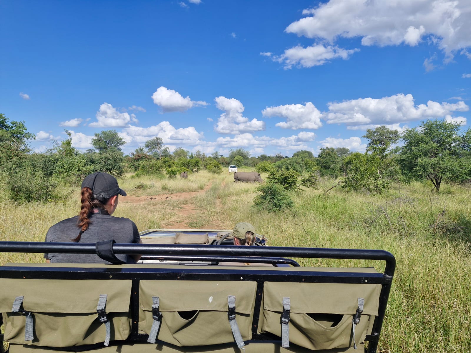 Luis Patel - Monitoring rhino from game drive vehicle at Vikela