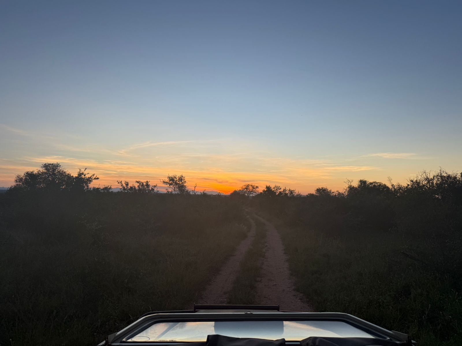 Juan Linares: sunset over the bush