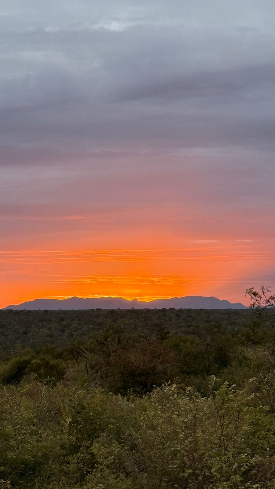 Juan Linares: sunset over the Kruger