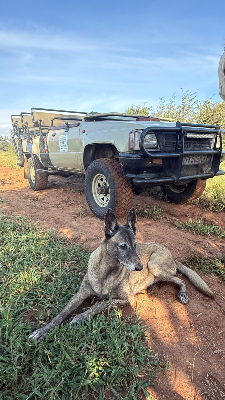 Juan Linares: anti-poaching dog lying in front of a research vehicle