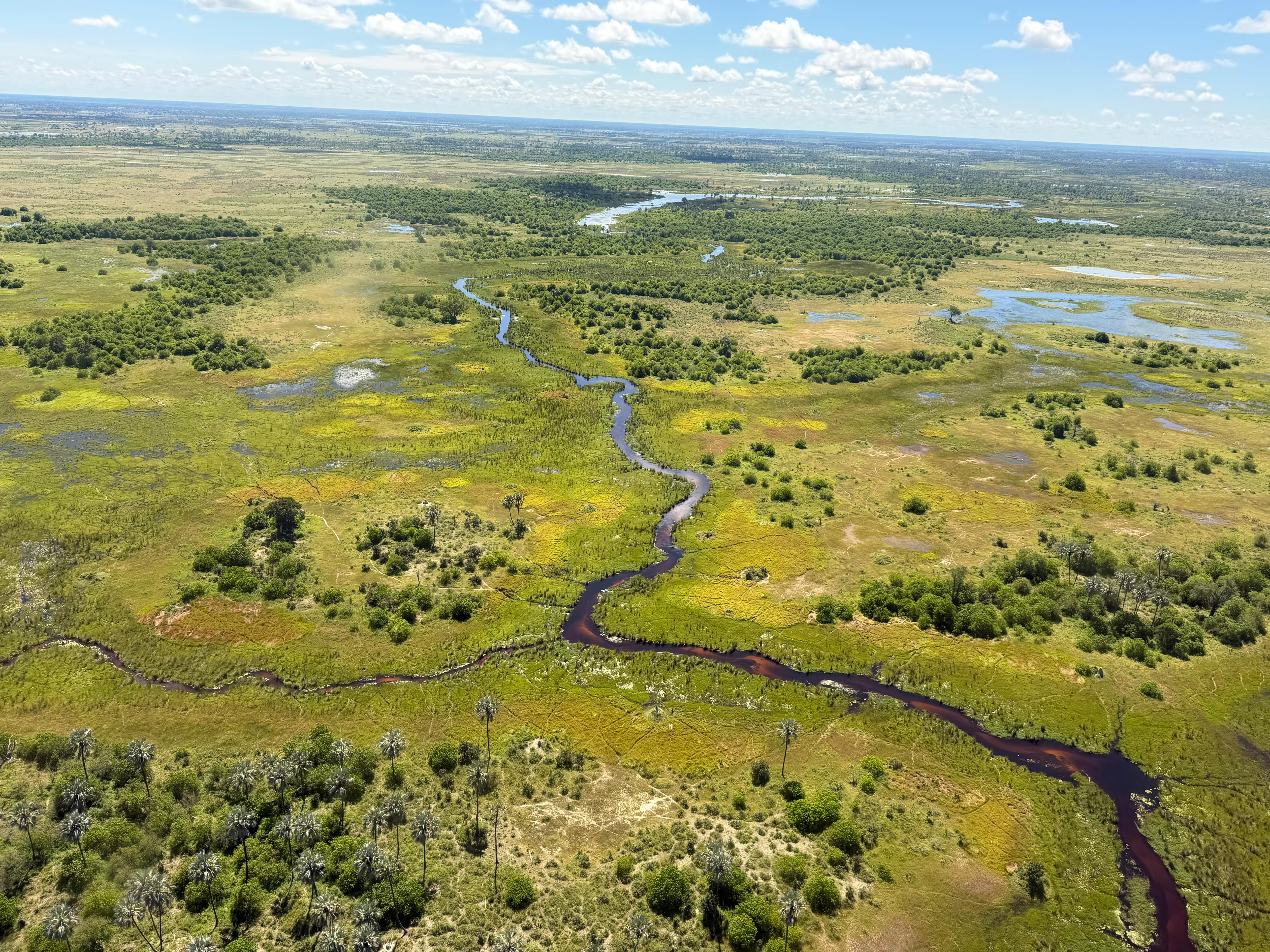 Rodrigo Palos - Okavango Flyover aerial shot