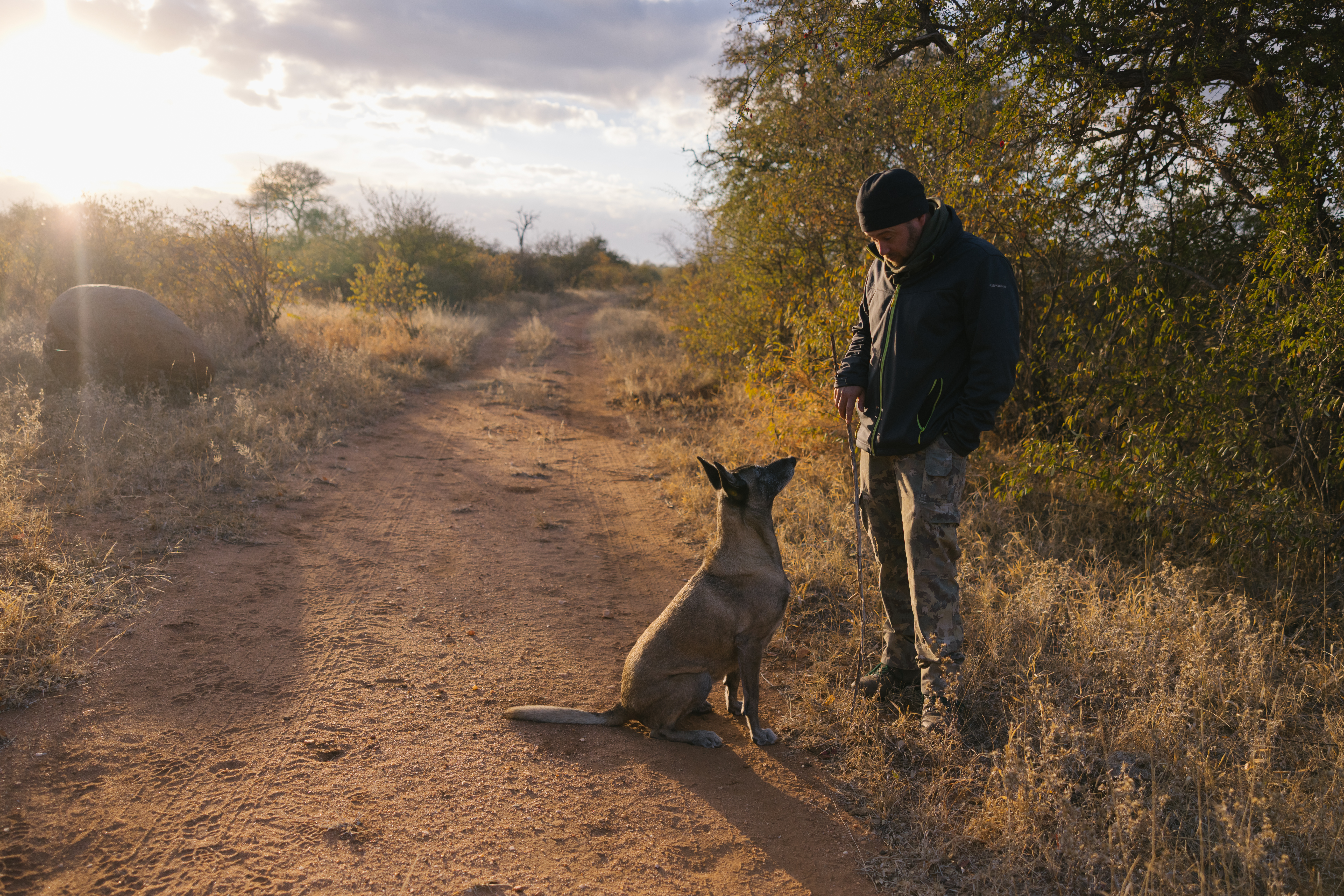 Joan Coletta Blog: anti-poaching dog looking up to her guide