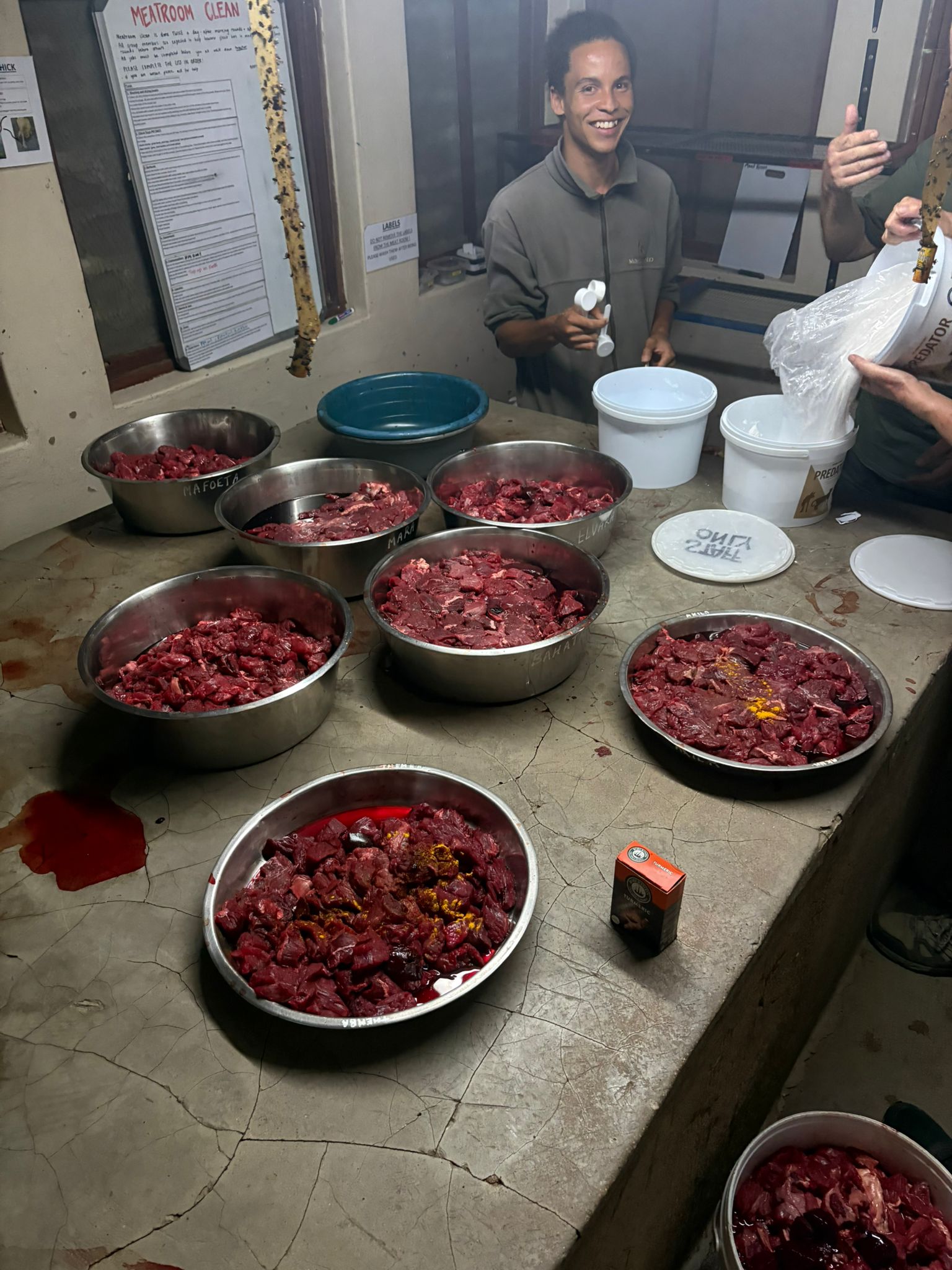 Paige Maine: food preparation for carnivores 