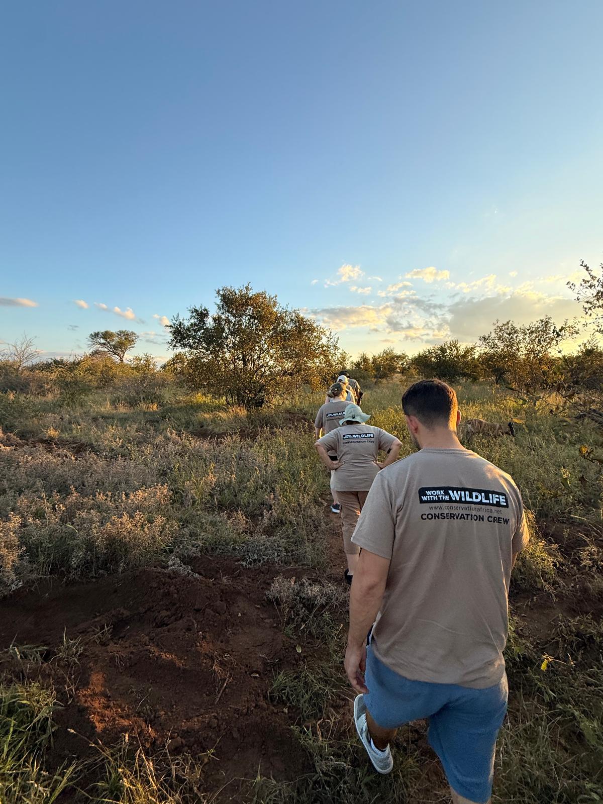 Katie Murray: Group hiking through the bush on the Vikela Kruger Conservation Experience