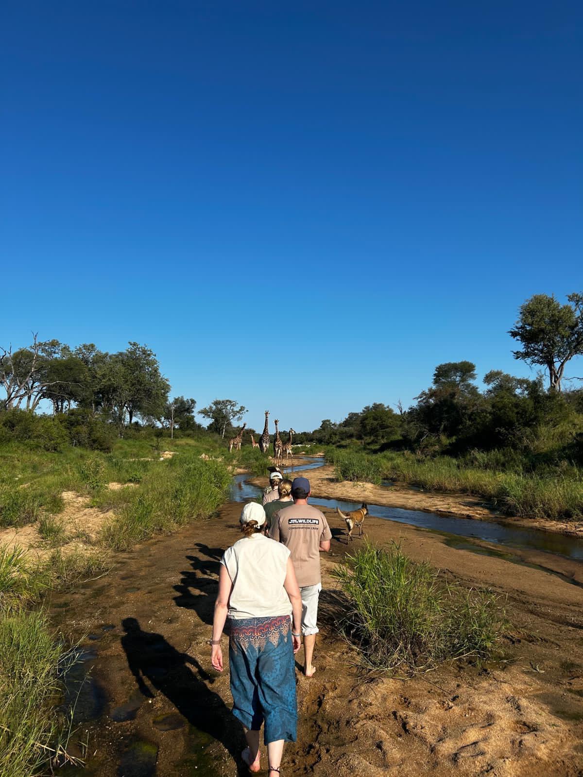 Katie Murray: Group on bushwalk at Vikela 