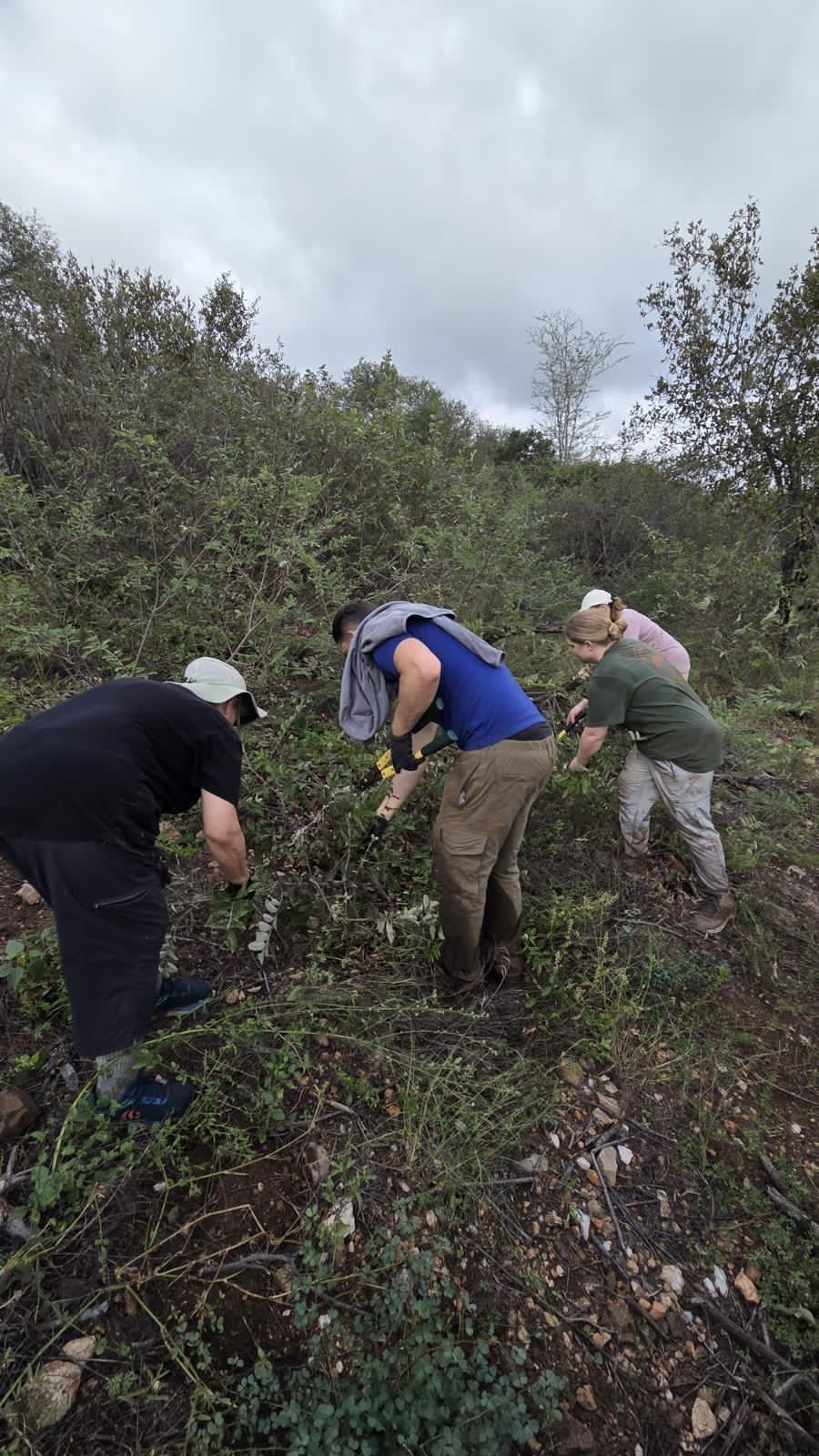 Katie Murray: Group doing habitat management work together