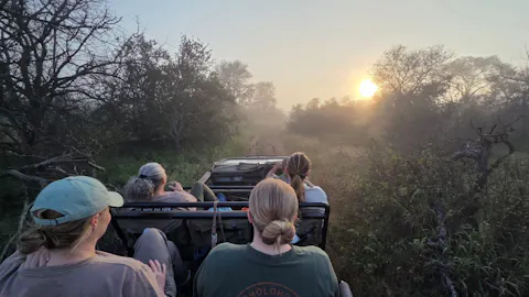 Katie Murray: Volunteers on game drive at sunrise on Vikela project