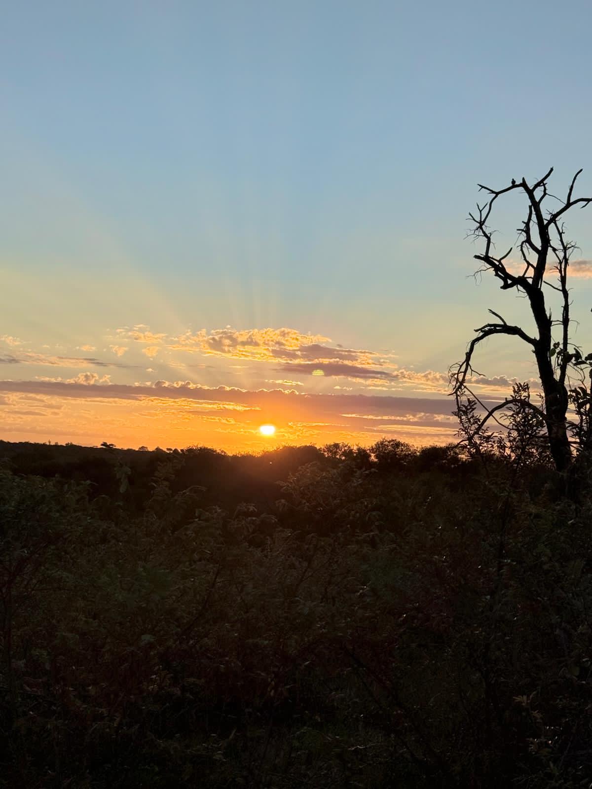 Katie Murray: Landscape at sunset on Vikela