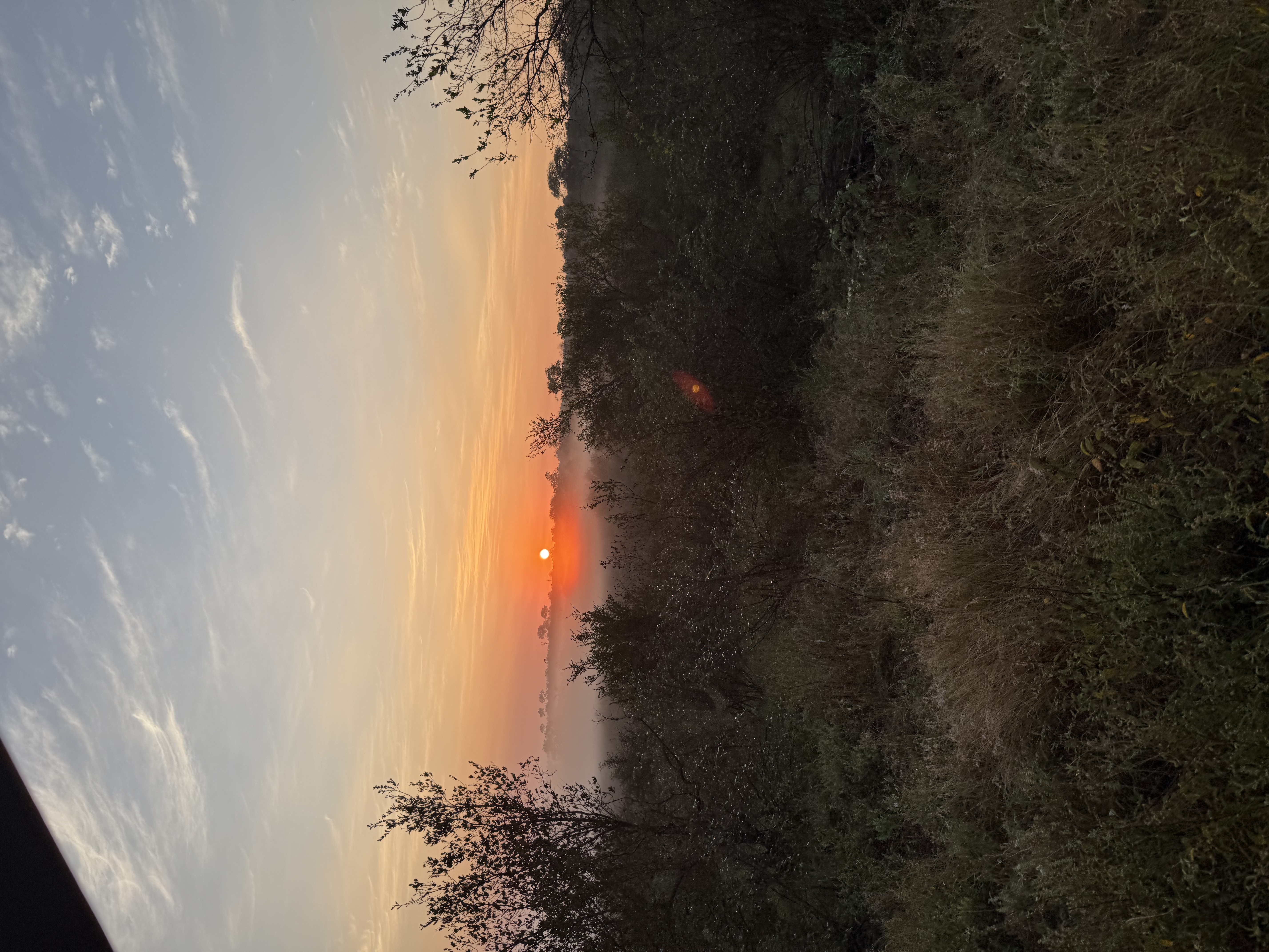 Carter Whitehair - Sunset in a field