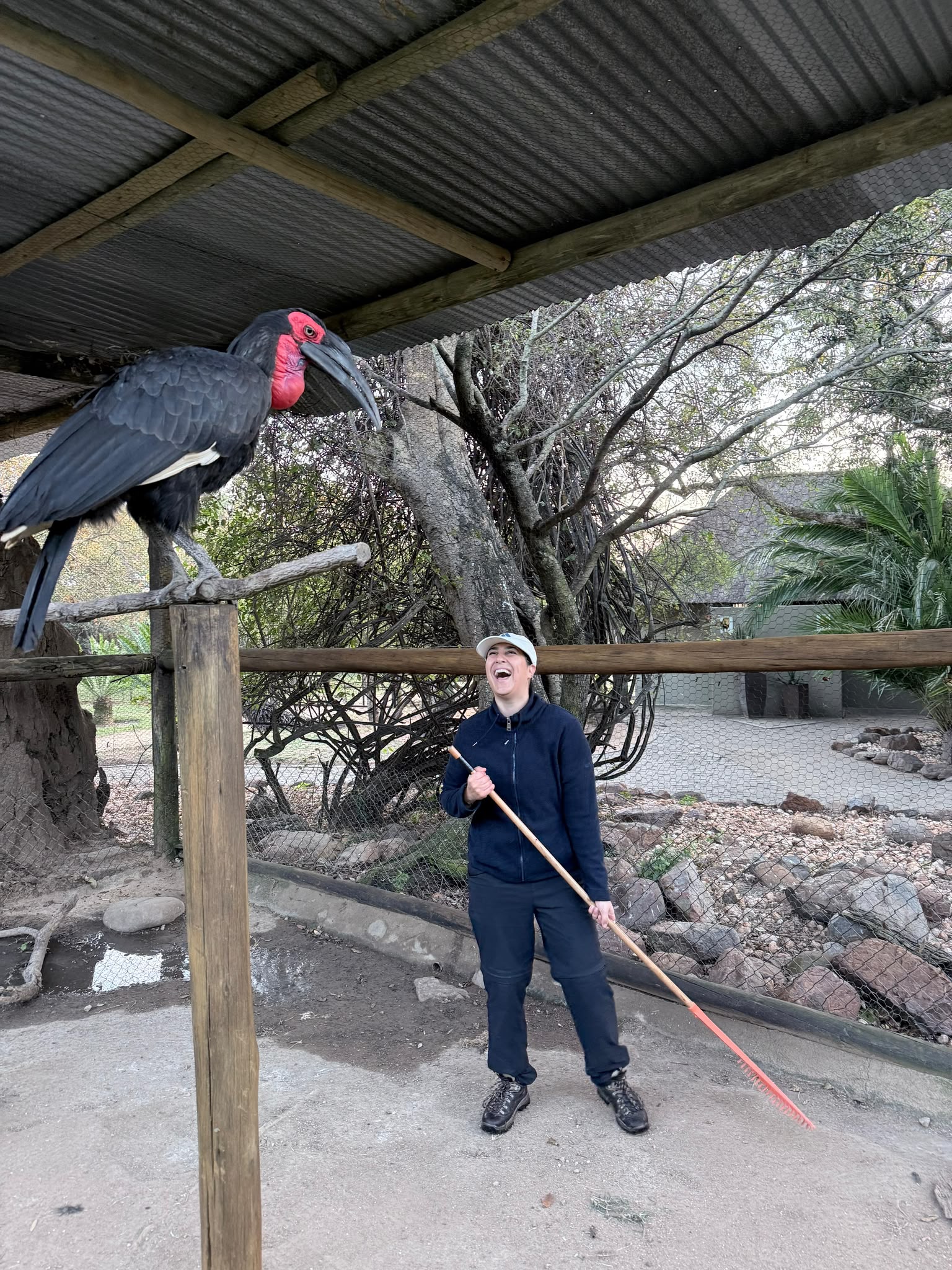 Natalie Gibbings - Candid photo of a volunteer laughing and working to clean the enclosure of a bird at Moholoholo