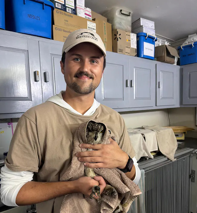 Payton Corrie - Owl Caring