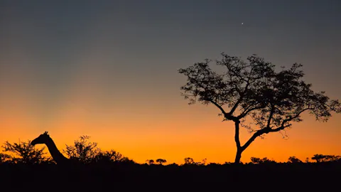 Andrew McWhinney - African sunset