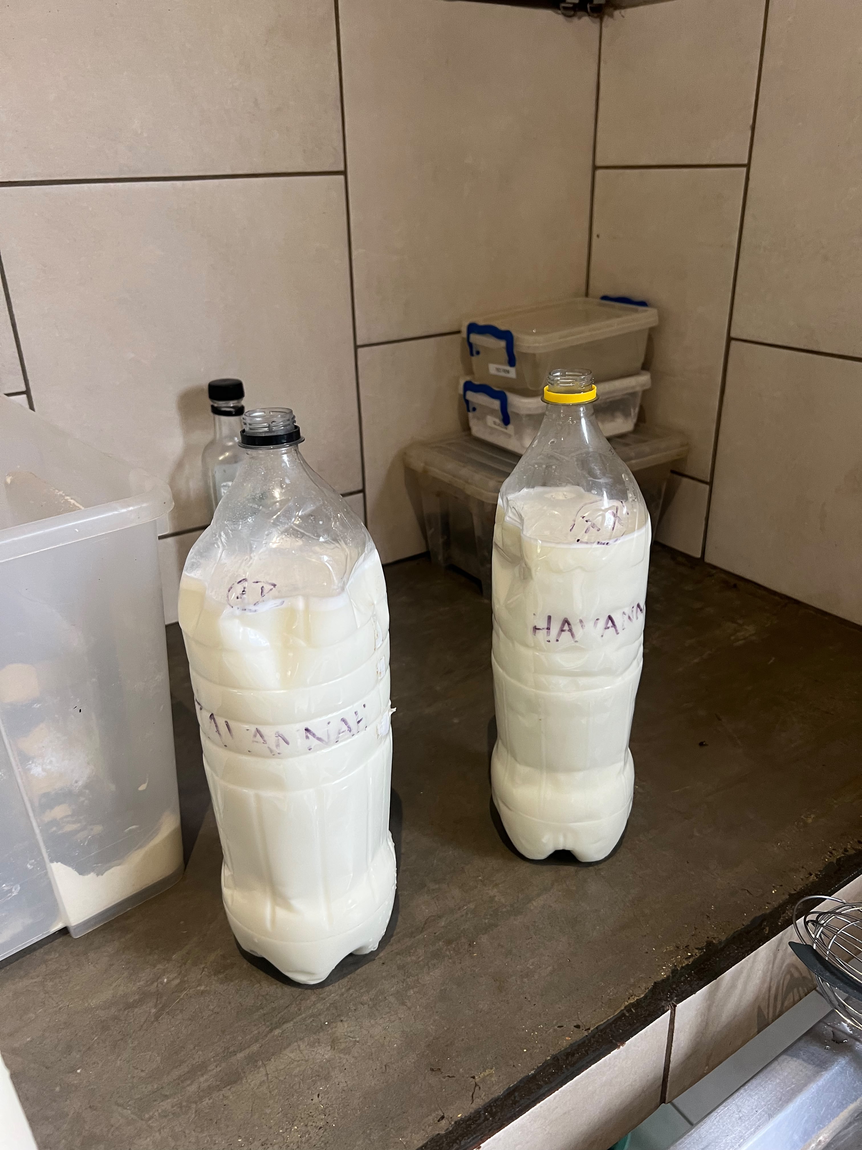 Iris Walling: milk prepared to feed baby rhinos