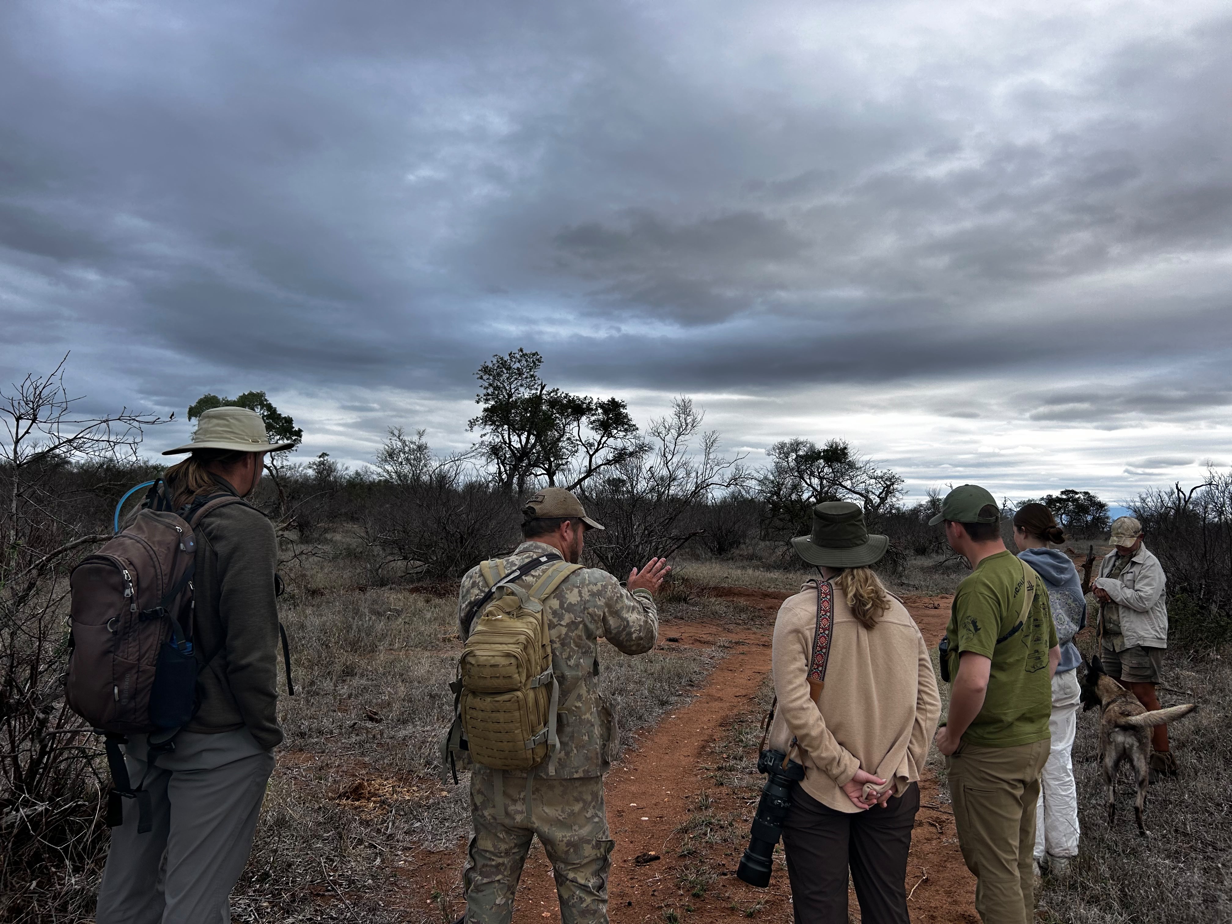 Iris Walling: group walking in the bush