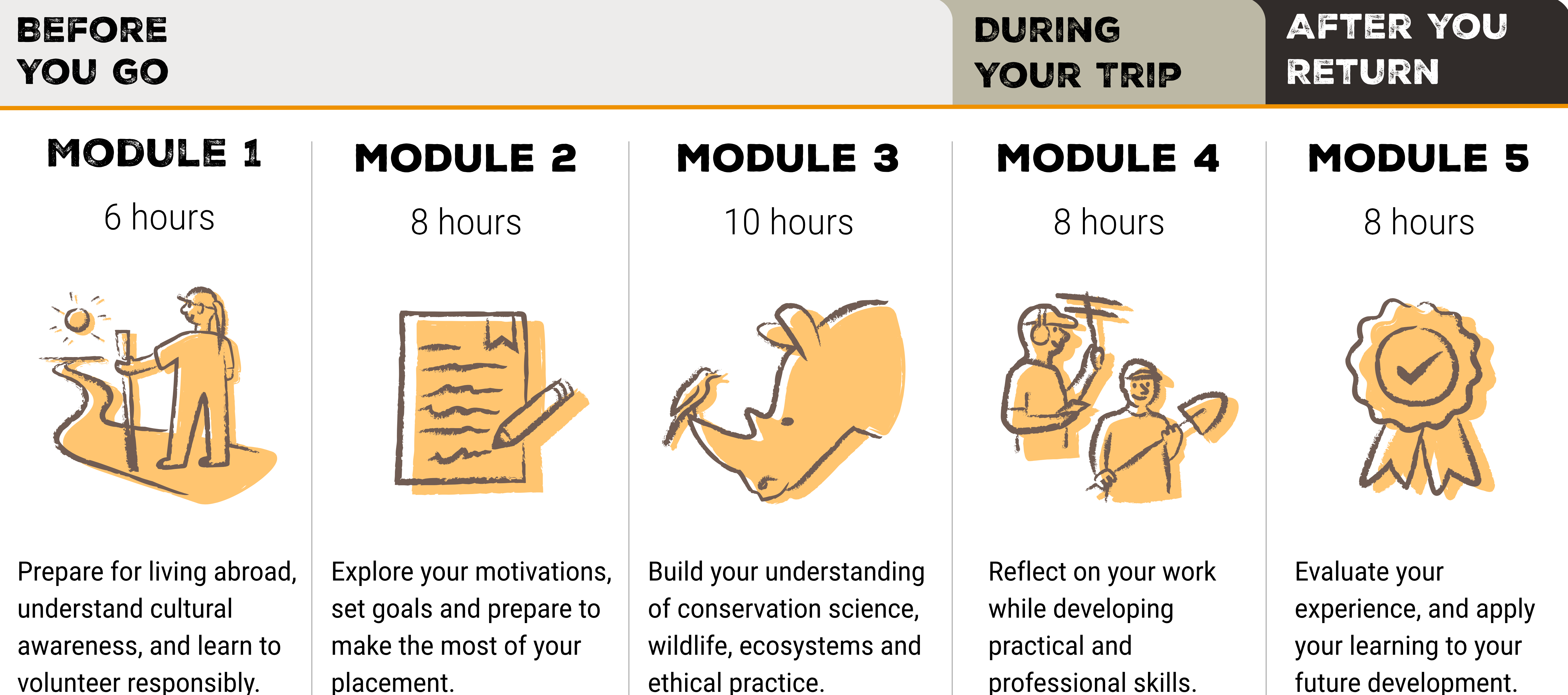 CGCS Diploma: figure showing the stages of the diploma