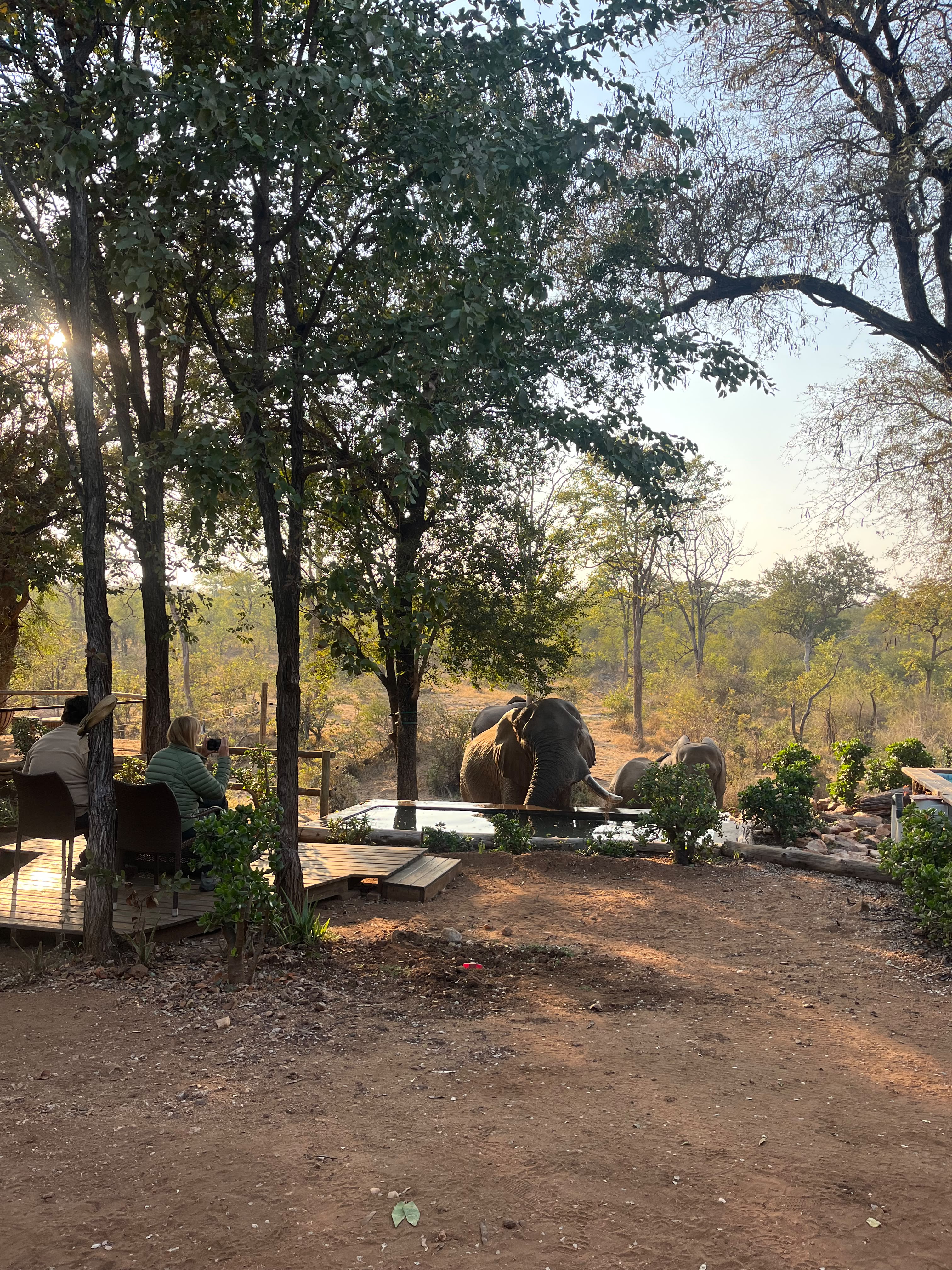 Volunteers relaxing in the bush