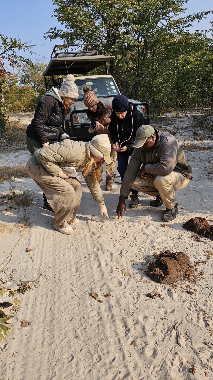 Volunteers working looking for tracks