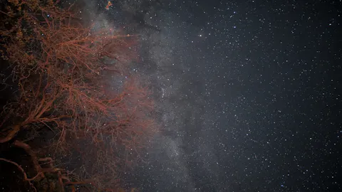 Amazing night sky
