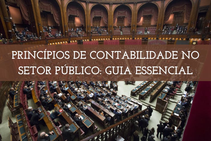 Princípios de Contabilidade no Setor Público: Guia Essencial