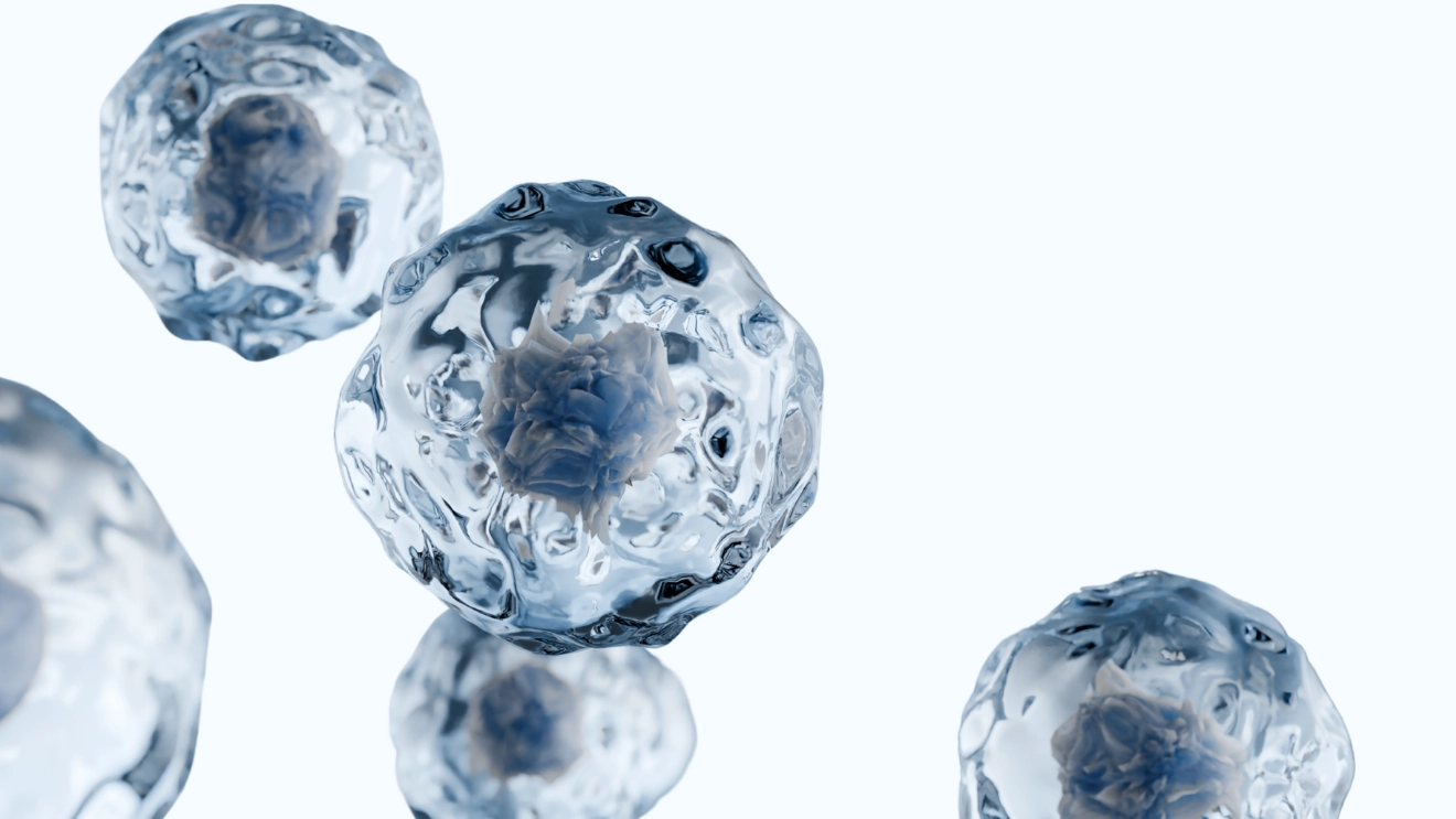 A cluster of small, translucent spheres resembling ice balls, symbolizing stem cells in a scientific context.