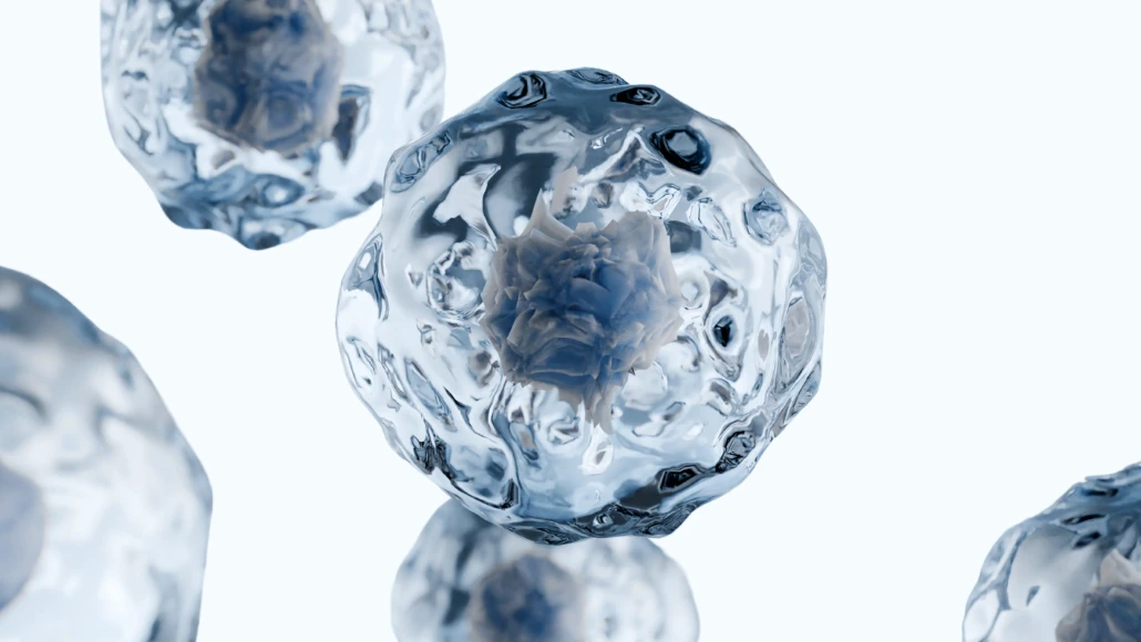 A cluster of small, translucent spheres resembling ice balls, symbolizing stem cells in a scientific context.