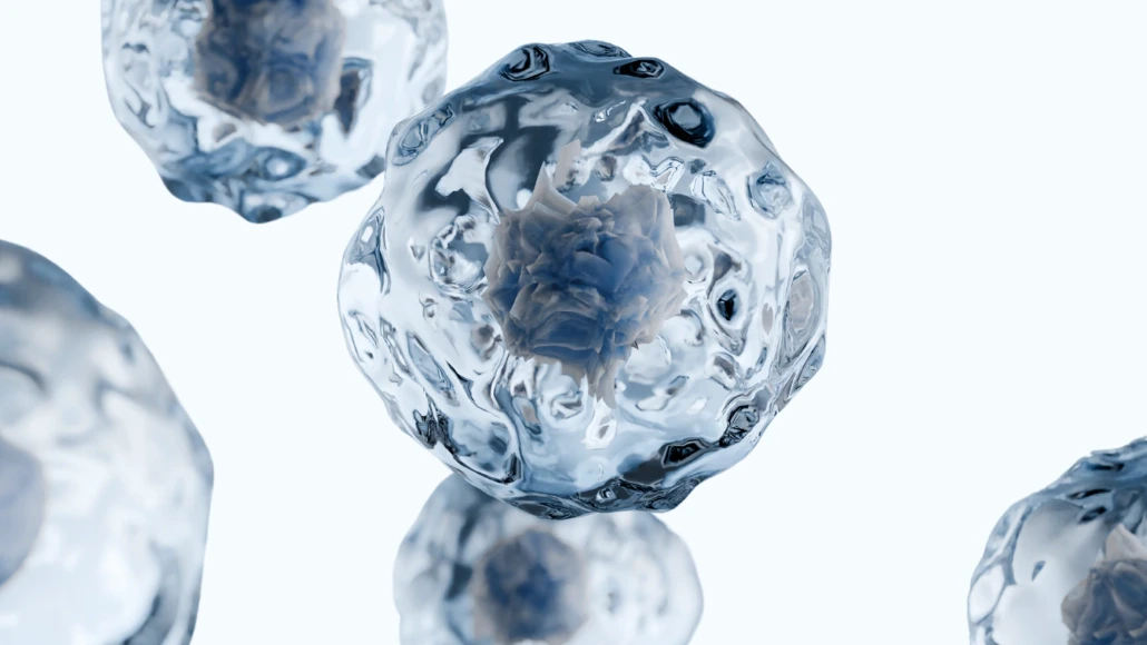 A cluster of small, translucent spheres resembling ice balls, symbolizing stem cells in a scientific context.
