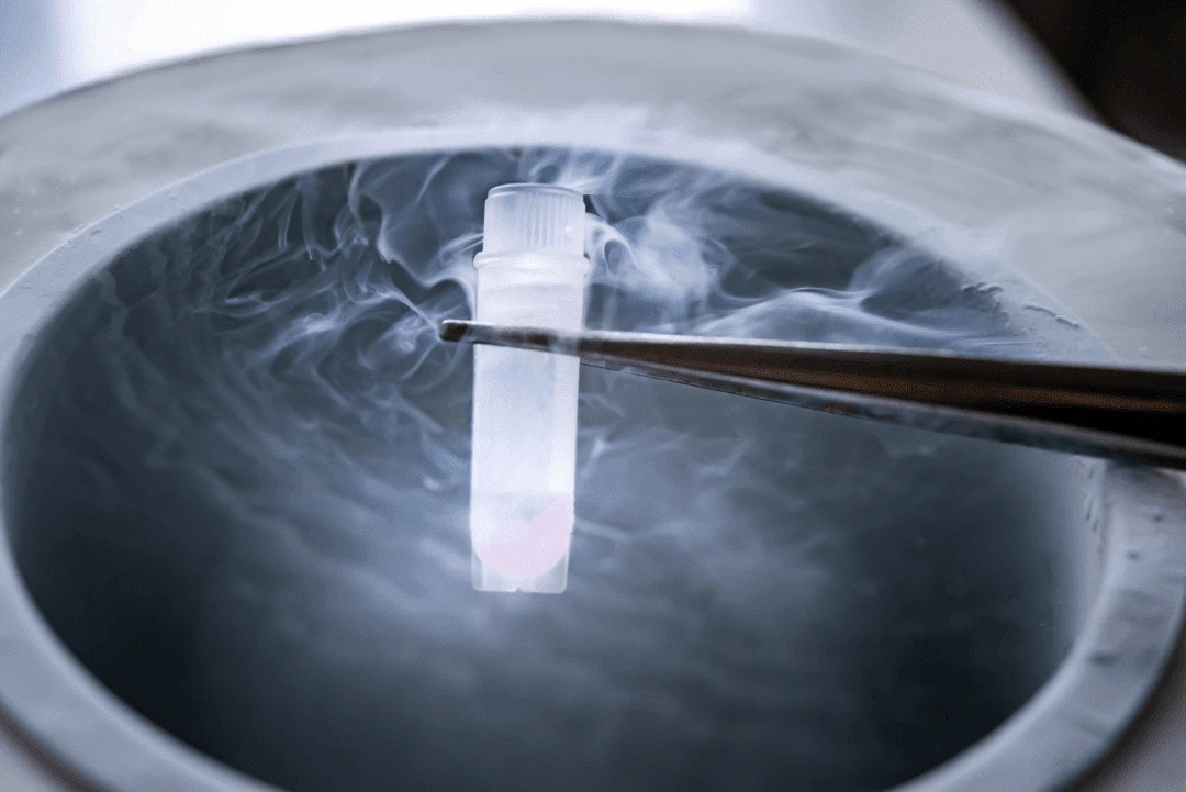 Tweezers holding a tube with a white substance, highlighting the tube's transparency and the material inside.
