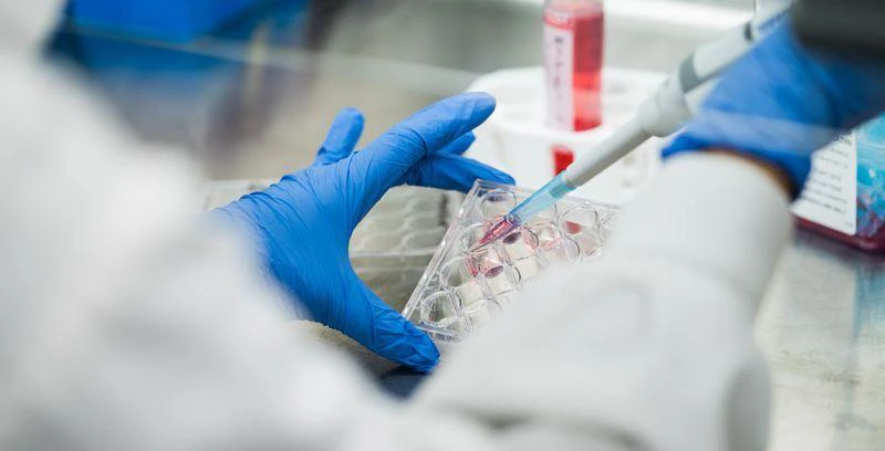 A person in a lab coat holds a test tube, demonstrating a scientific experiment or research activity.