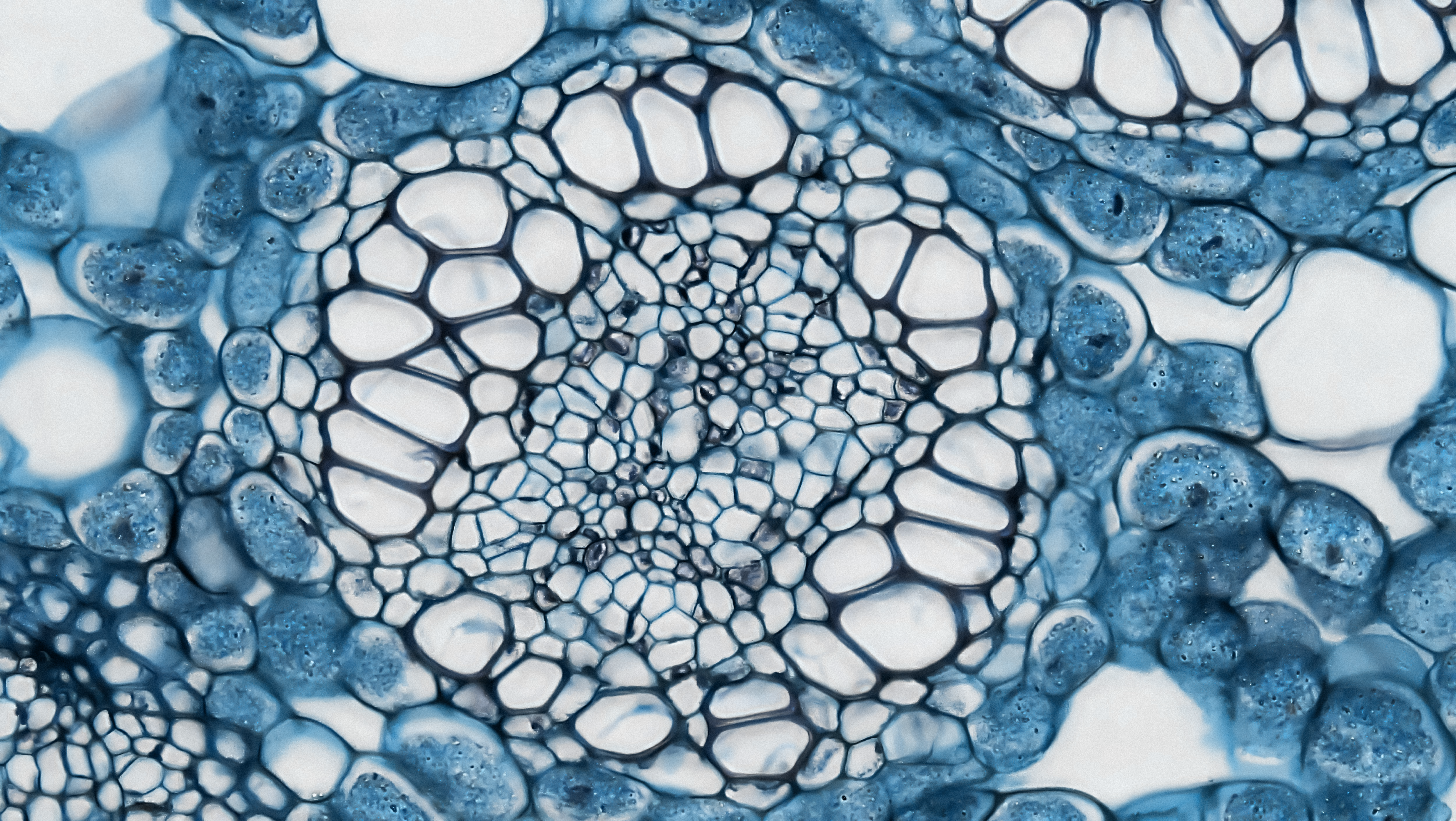 Close-up plant cells showcasing detail and motion.