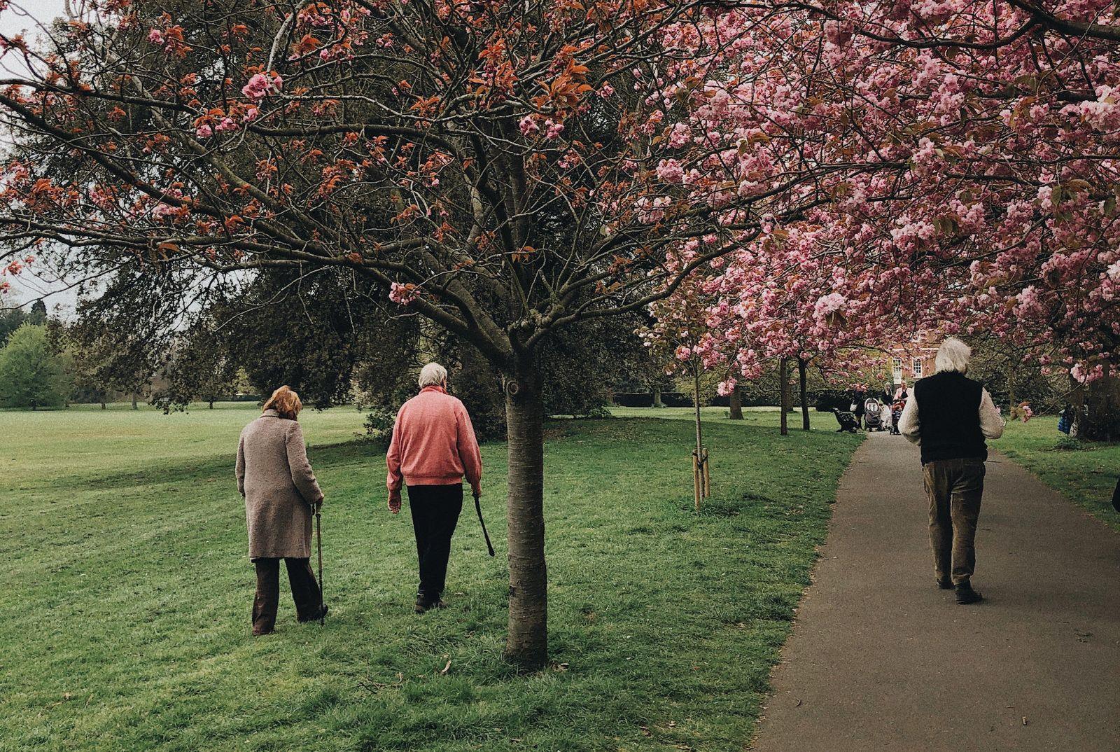 A group of individuals walking along a path in a vibrant park filled with trees and colorful flowers.
